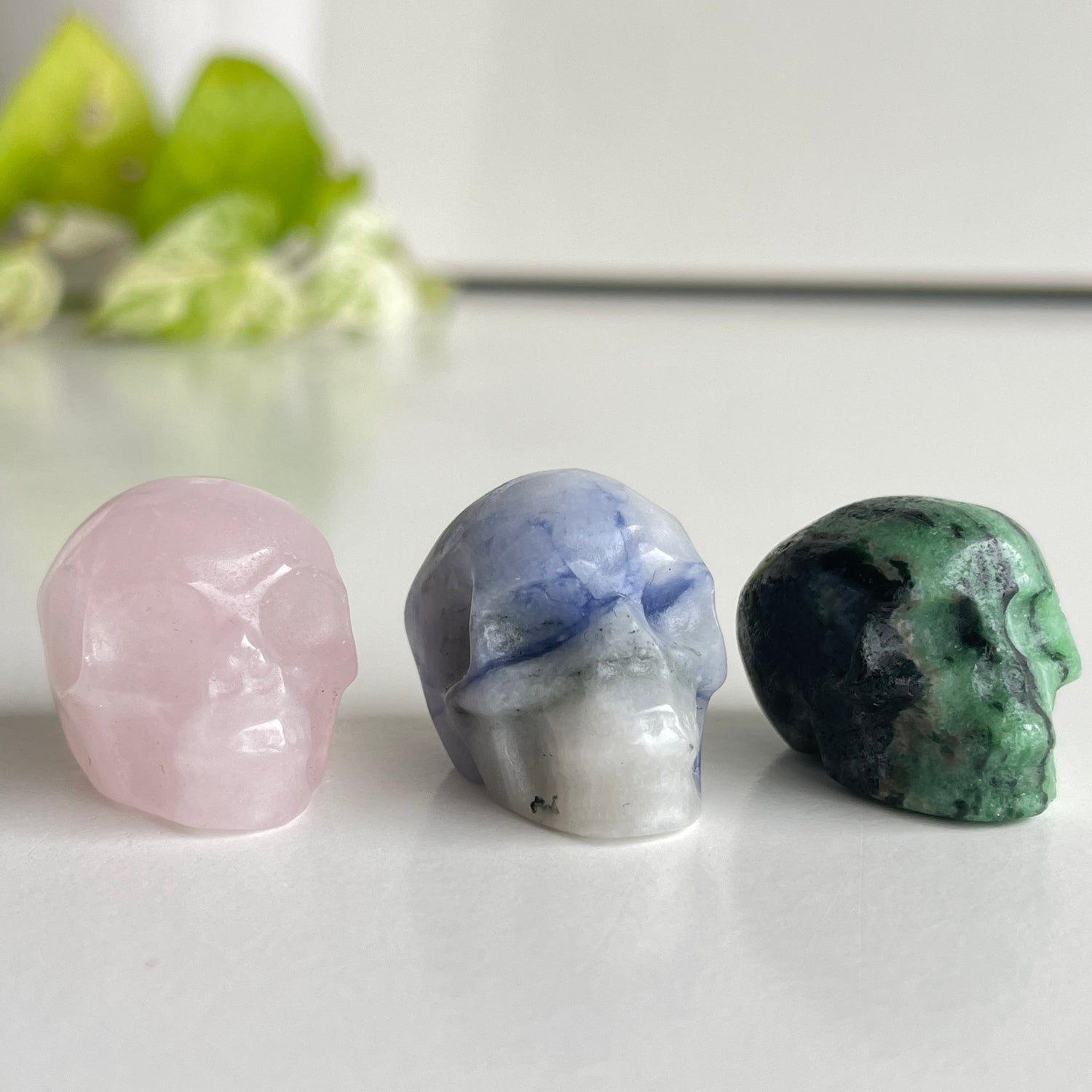 Mini Skulls Assorted