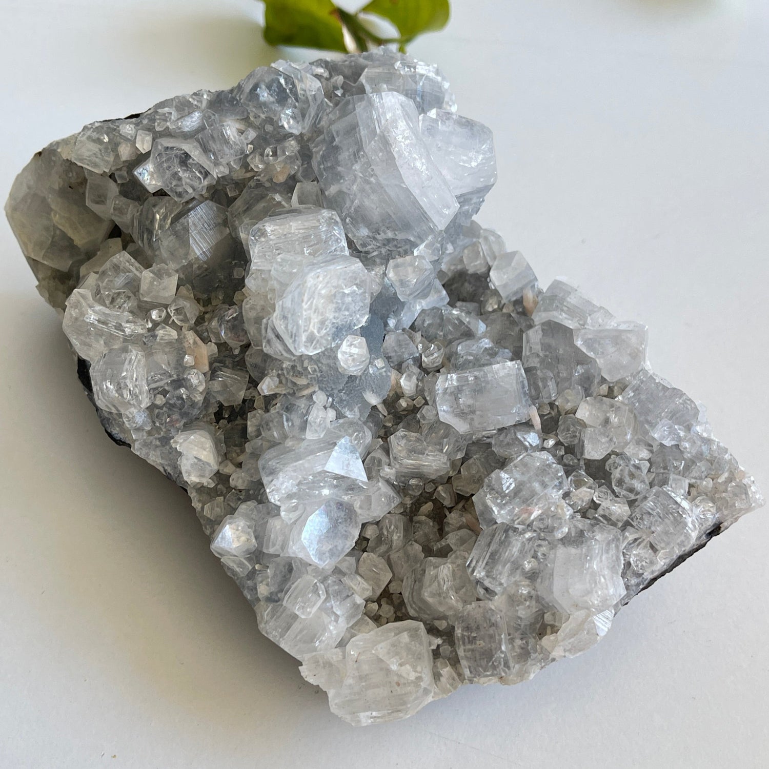 Apophyllite Cluster 888g