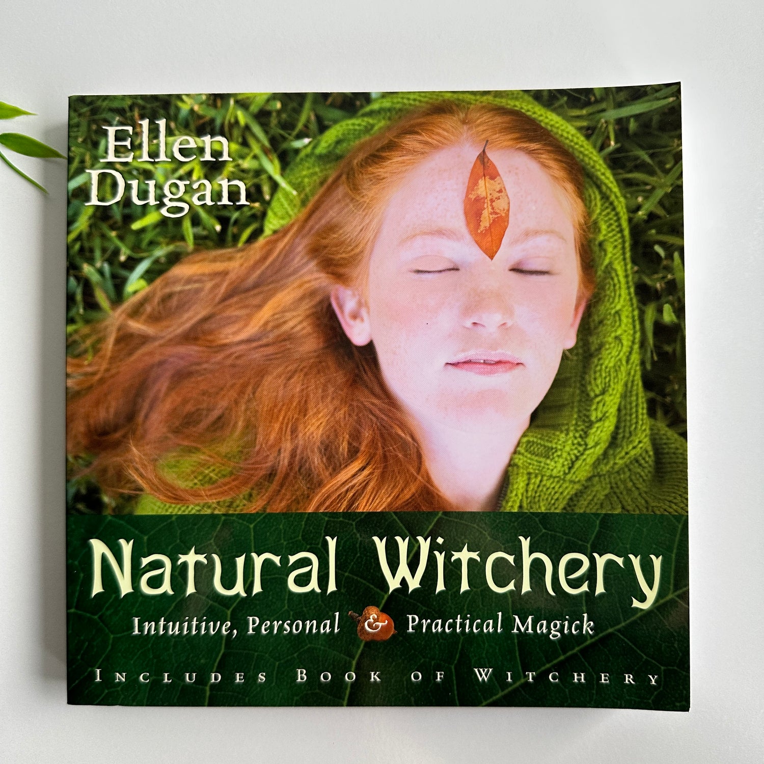 Natural Witchery Ellen Dugan