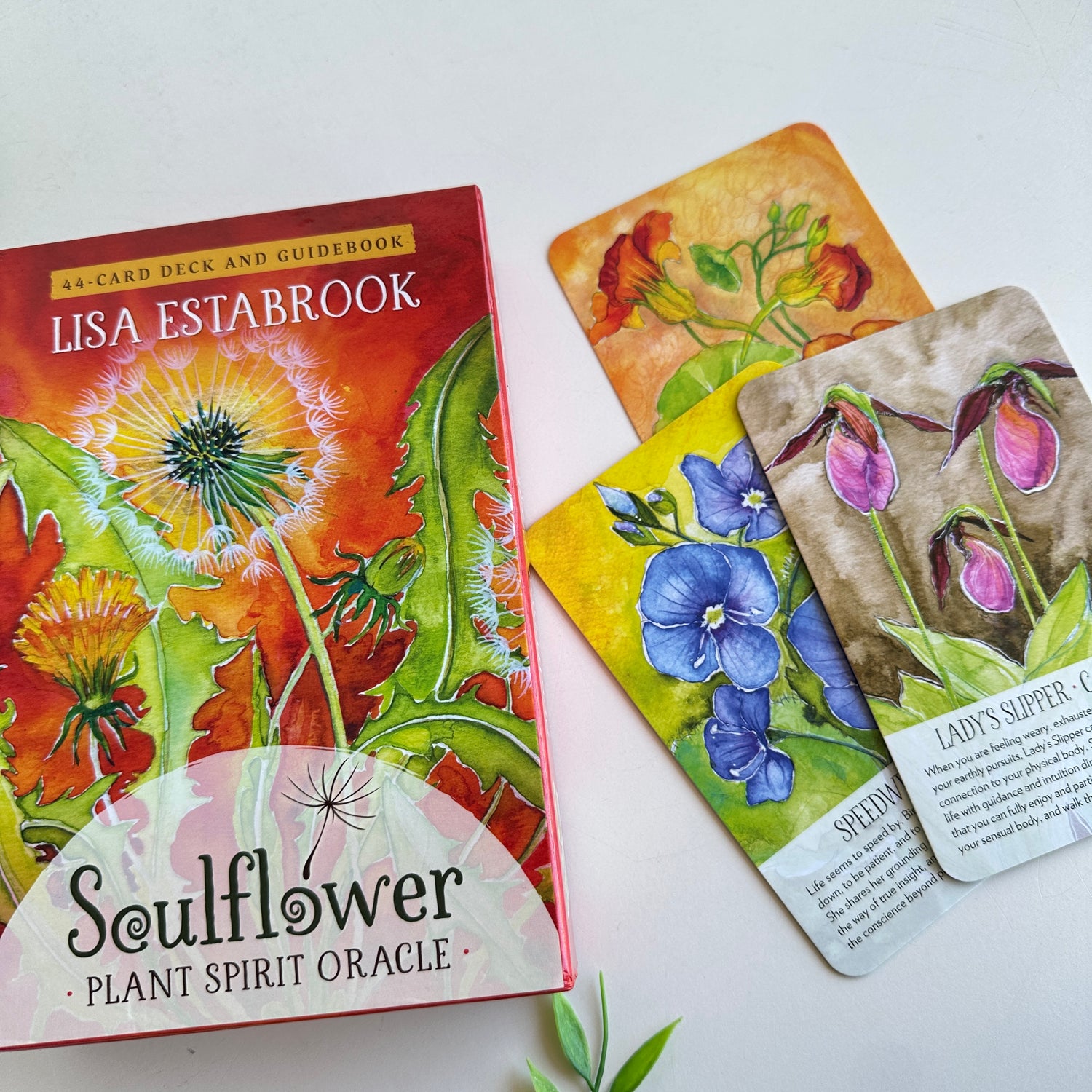 Soulflower Plant Spirit Oracle Lisa Estabrook