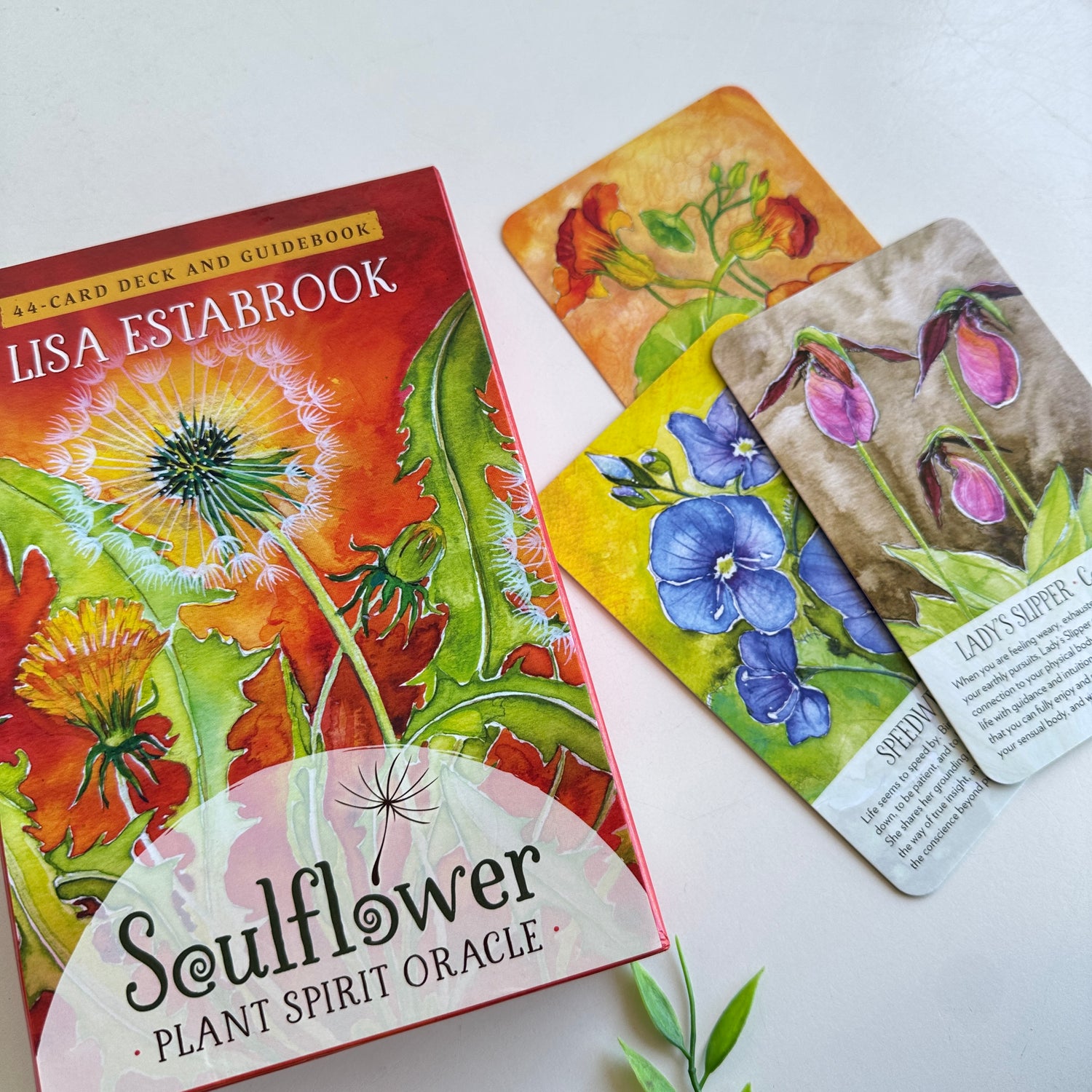 Soulflower Plant Spirit Oracle Lisa Estabrook