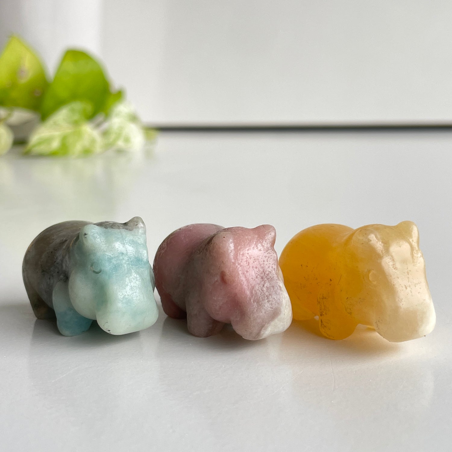 Crystal Hippo Small