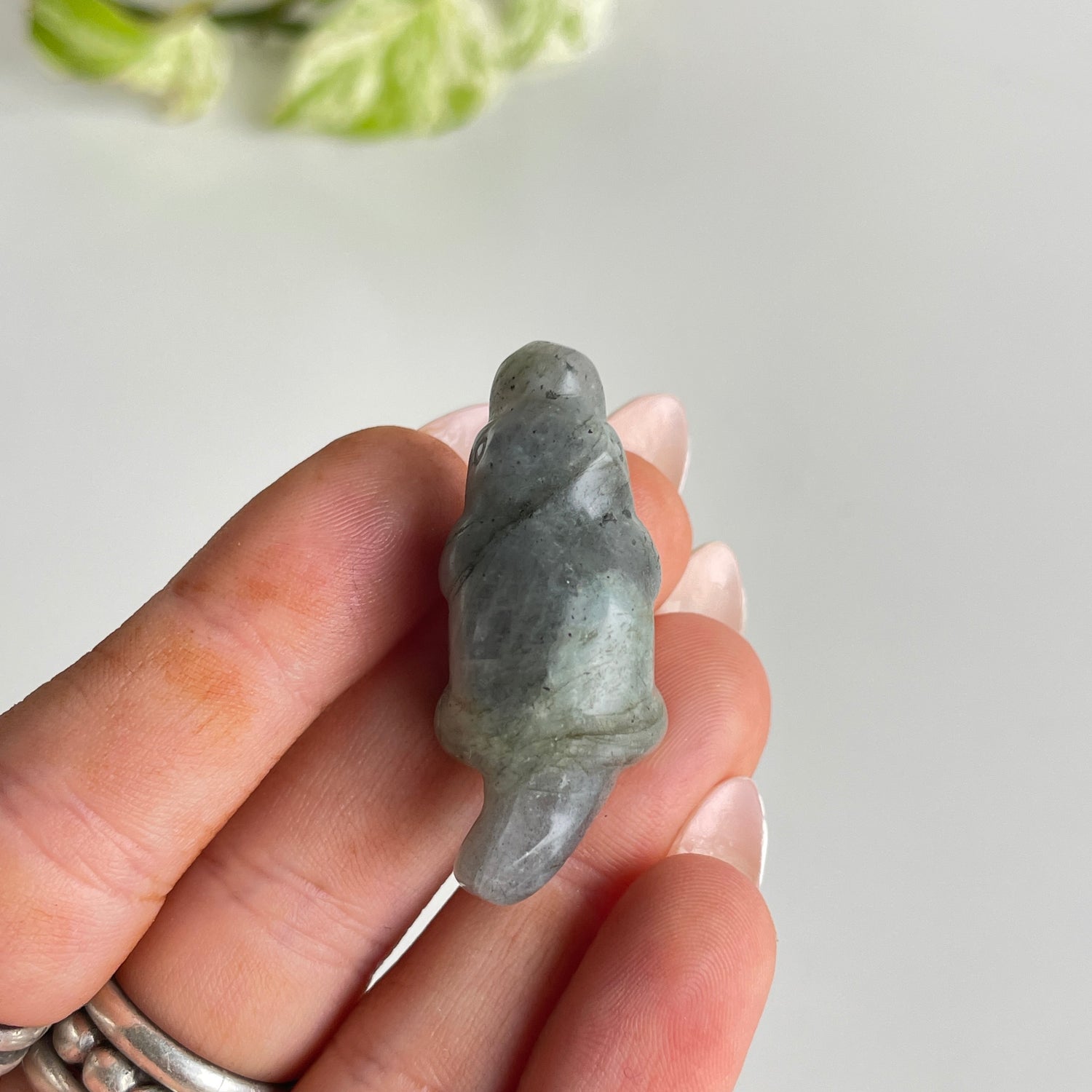 Crystal Platypus