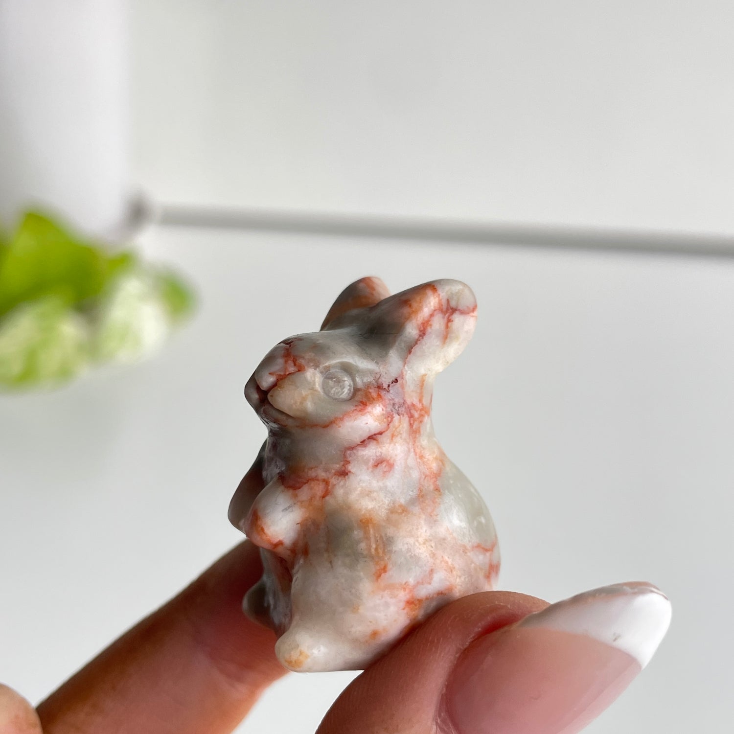 Crystal Rabbit