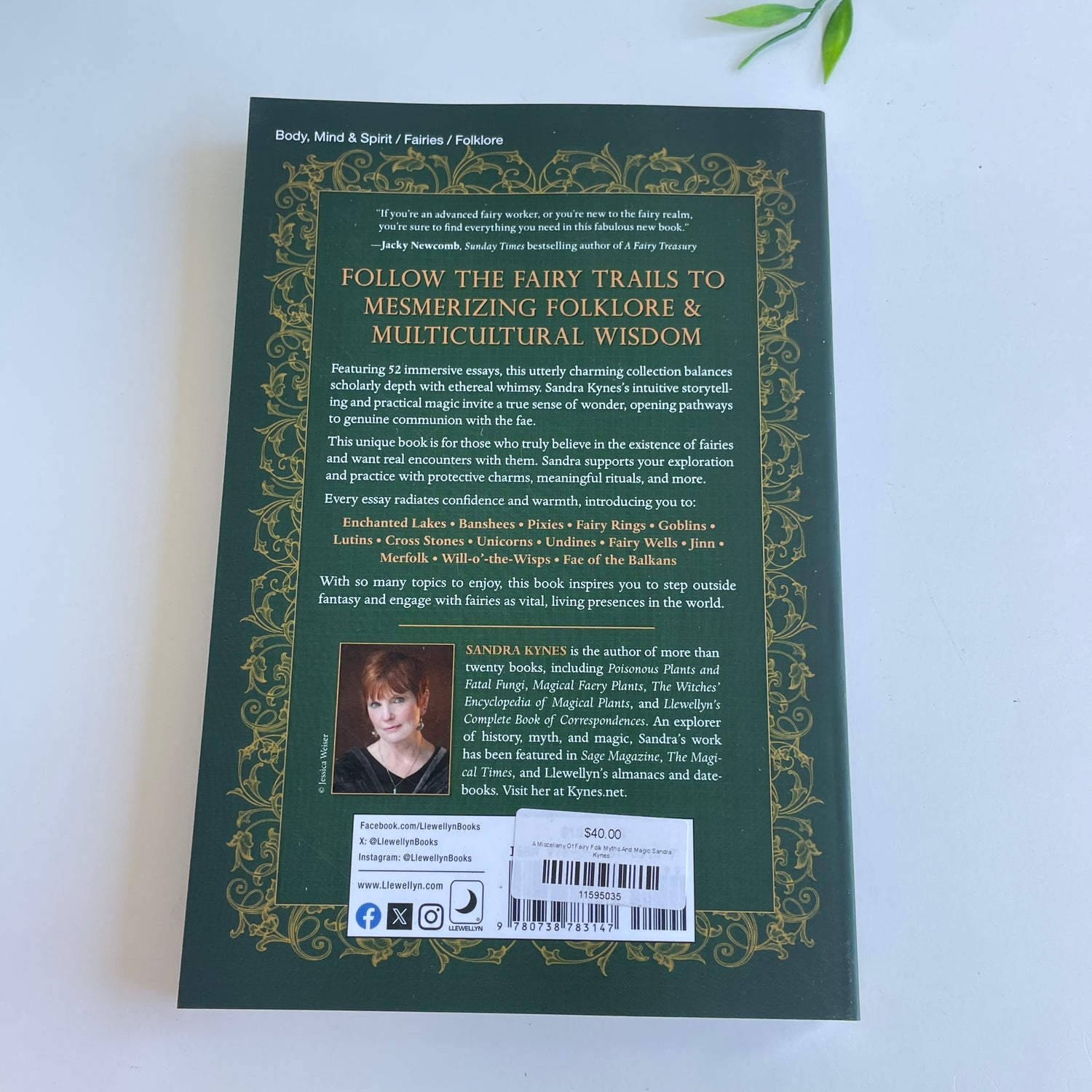 A Miscellany Of Fairy Folk Myths And Magic Sandra Kynes