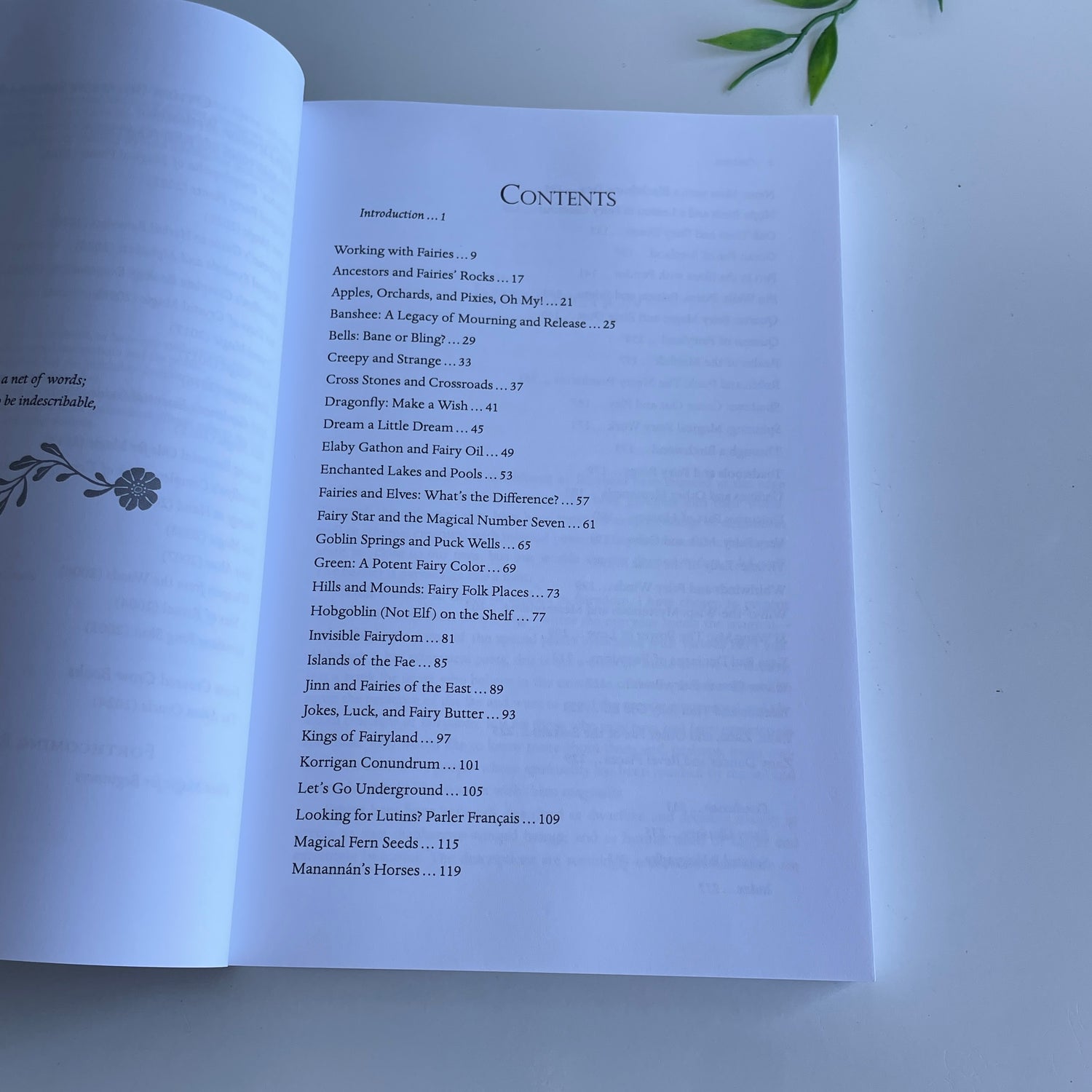 A Miscellany Of Fairy Folk Myths And Magic Sandra Kynes