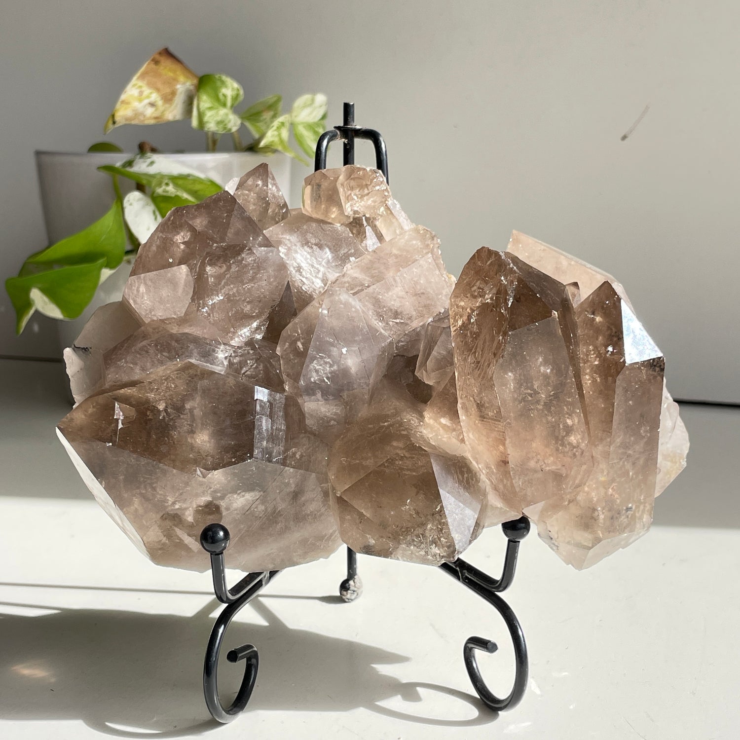 Smoky Quartz Cluster 1.416kg