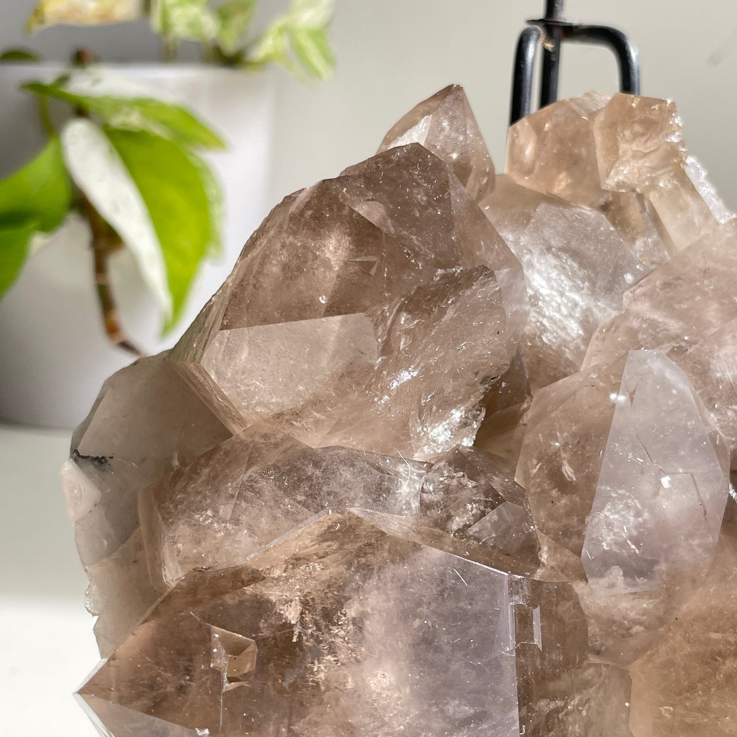 Smoky Quartz Cluster 1.416kg