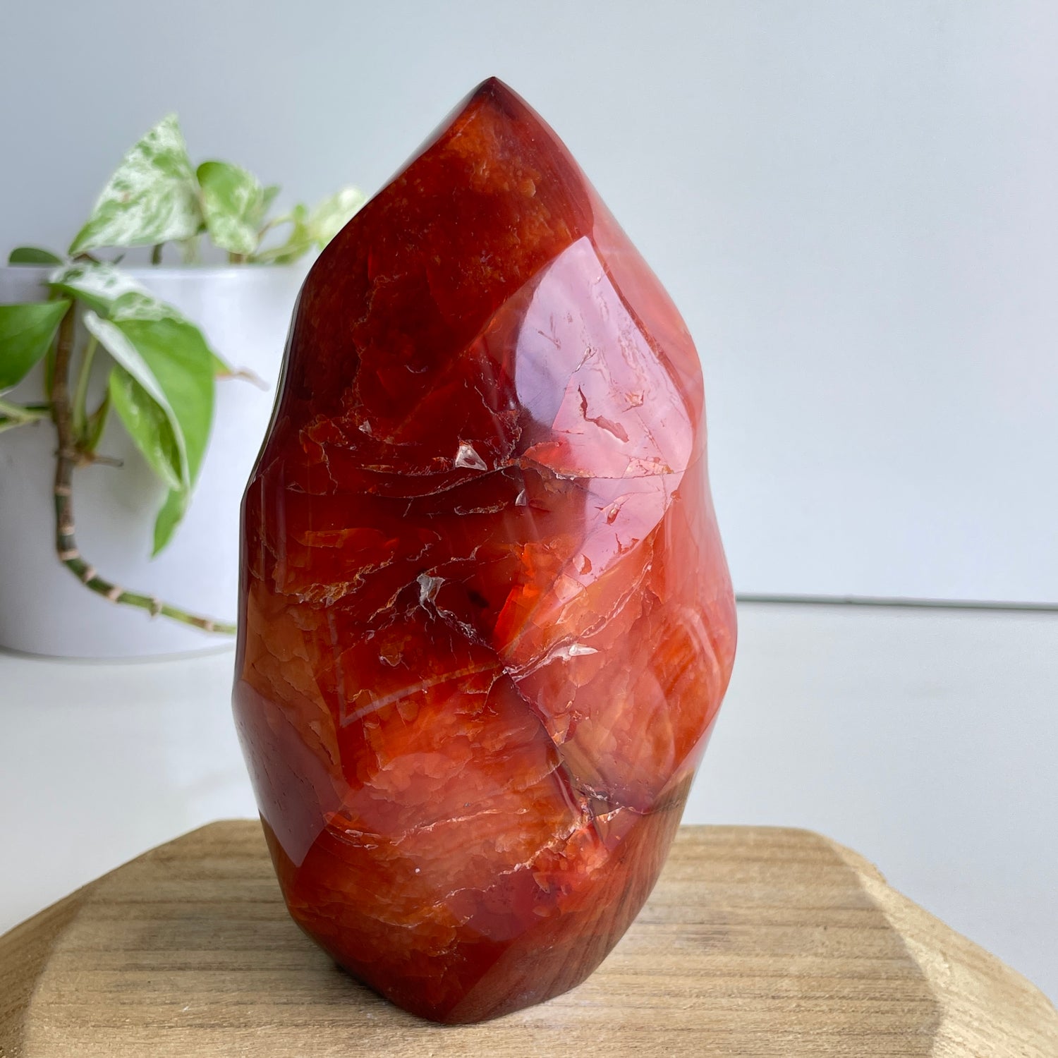 Carnelian Flame 15.2cm