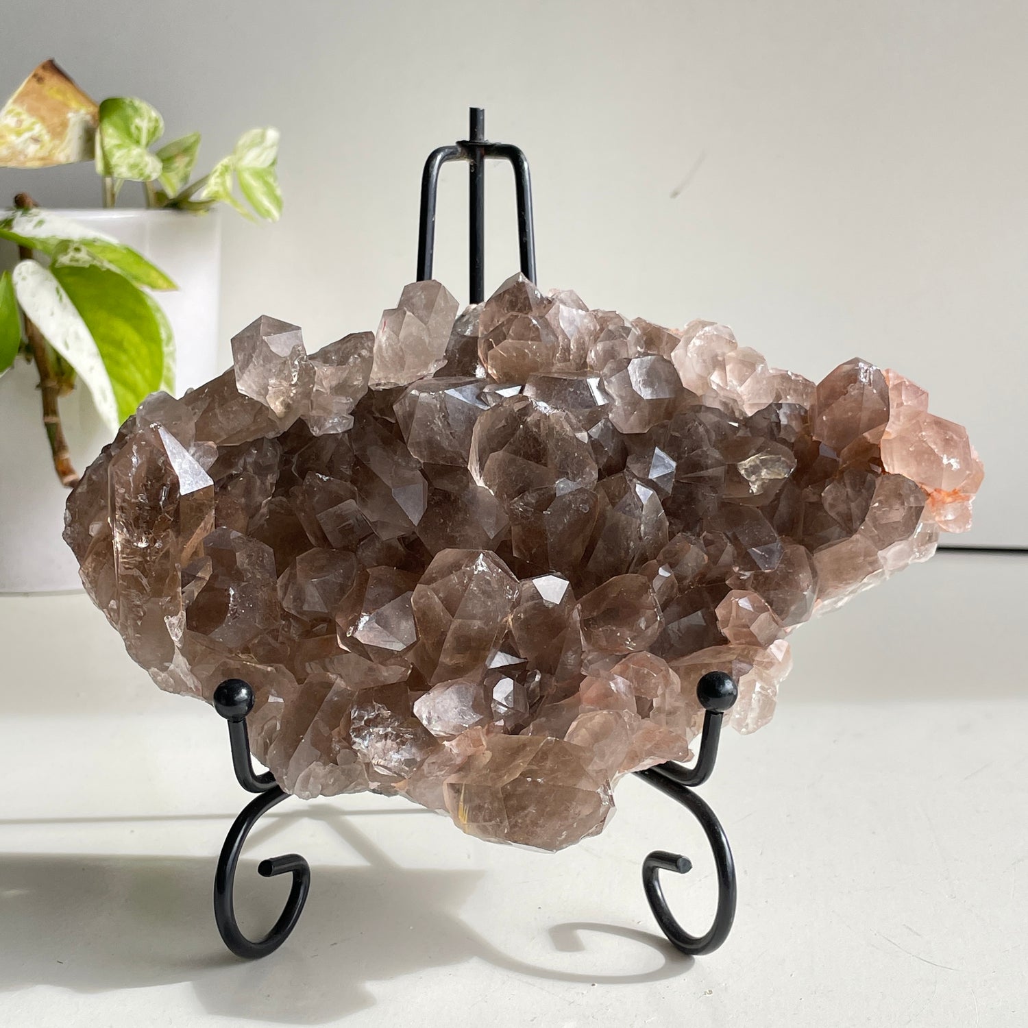 Smoky Quartz Cluster 1.048kg