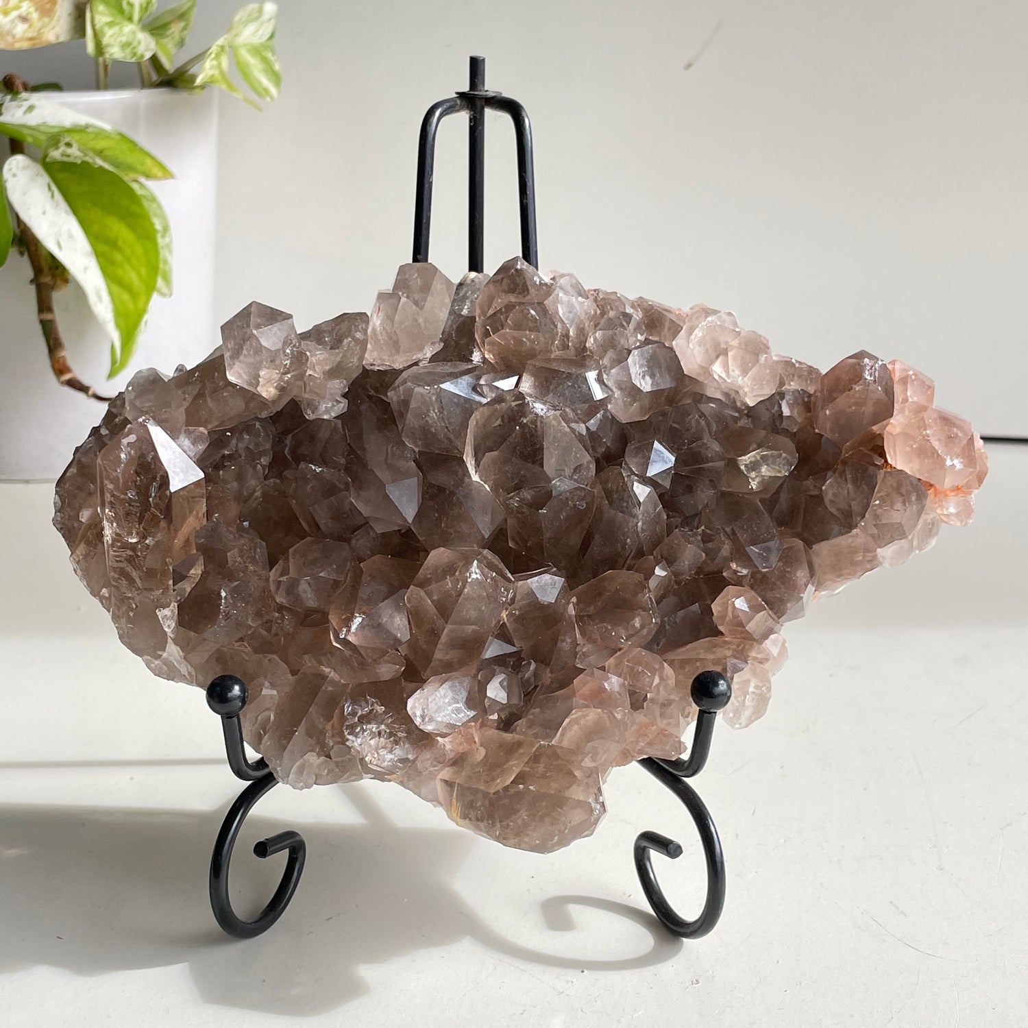 Smoky Quartz Cluster 1.048kg