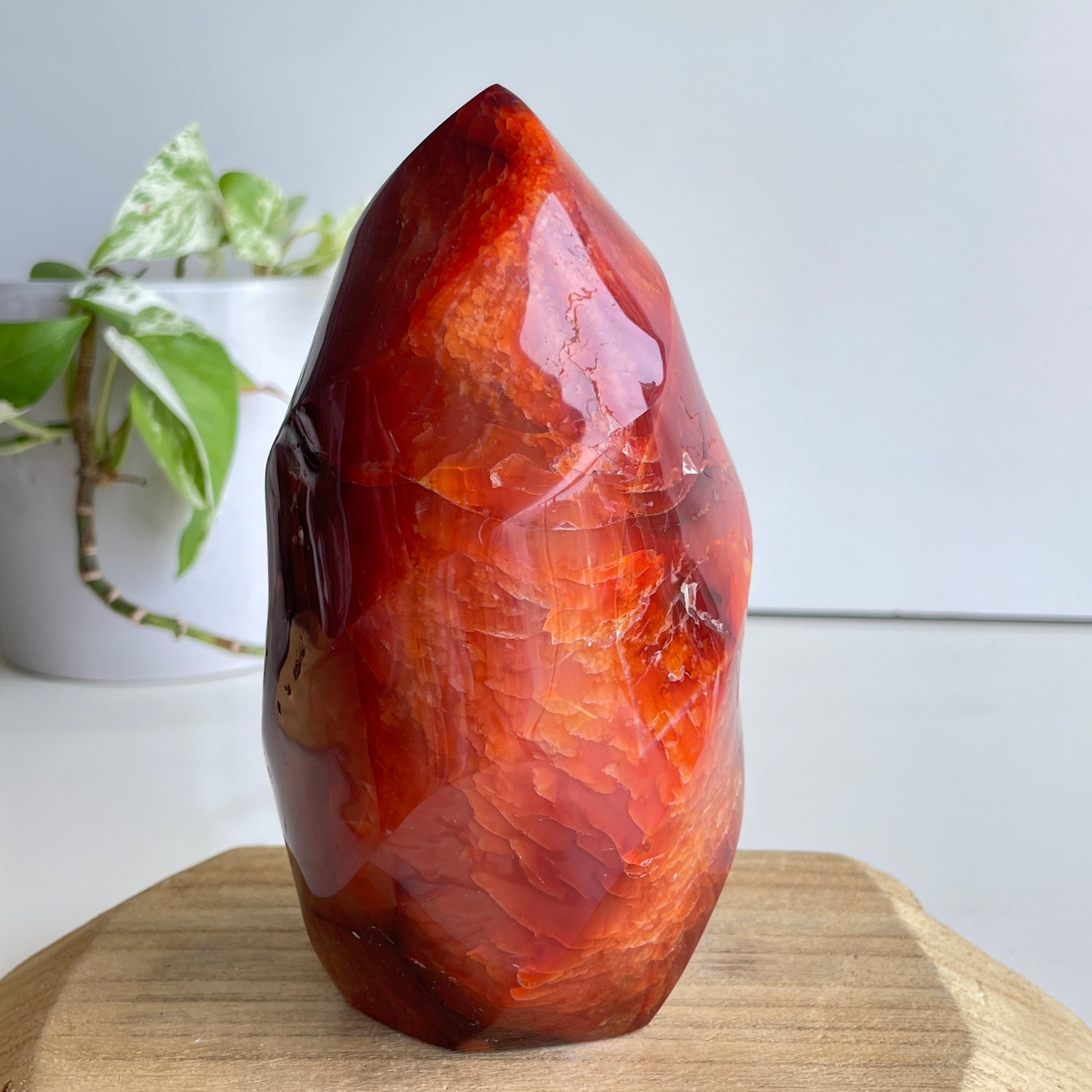 Carnelian Flame 15.2cm