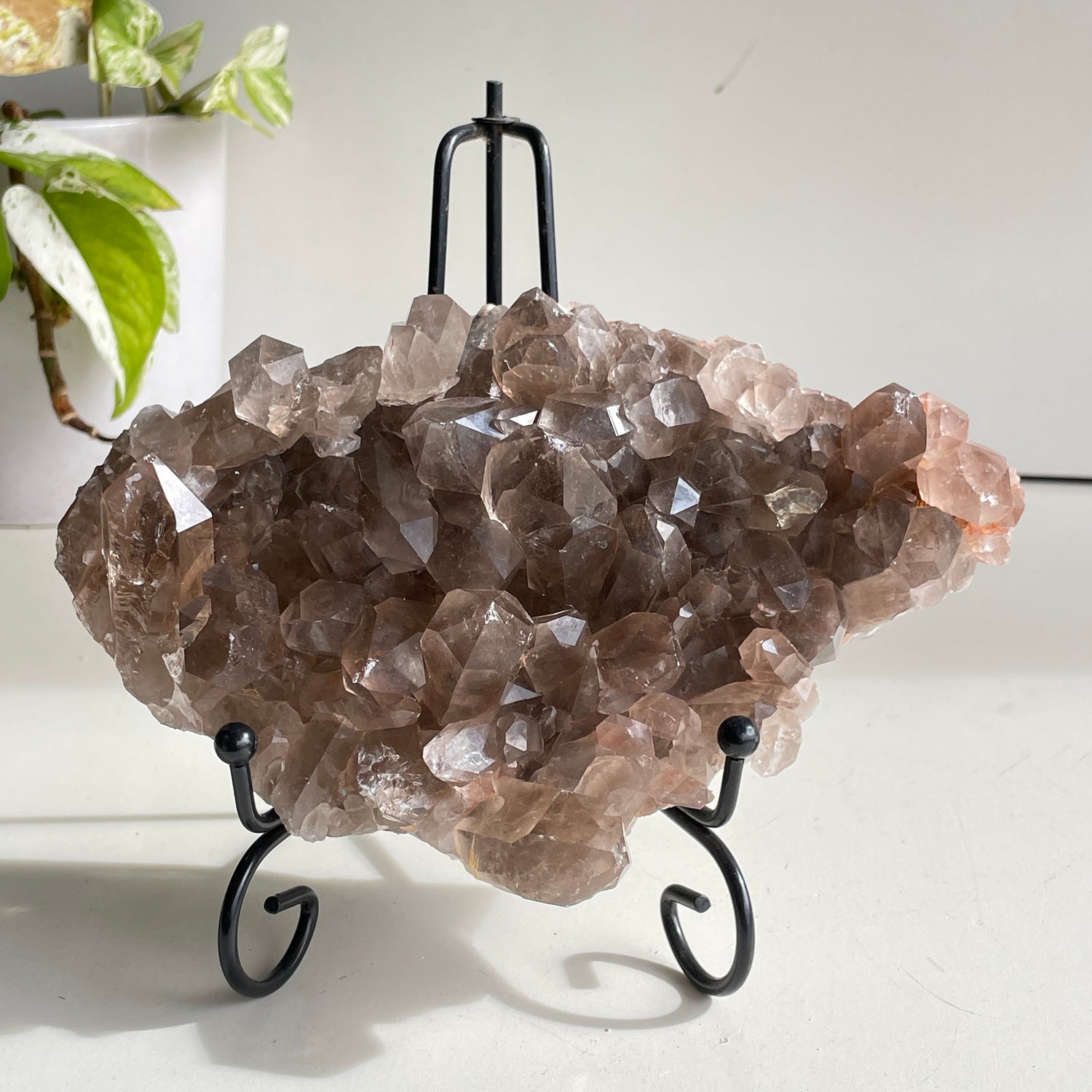 Smoky Quartz Cluster 1.048kg