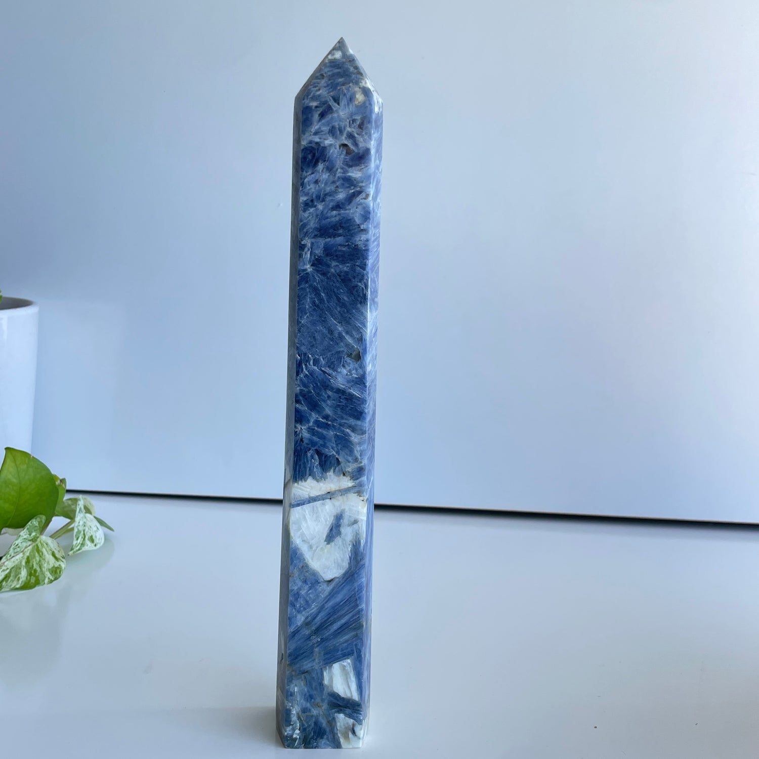 Blue Kyanite Generator 29.4cm