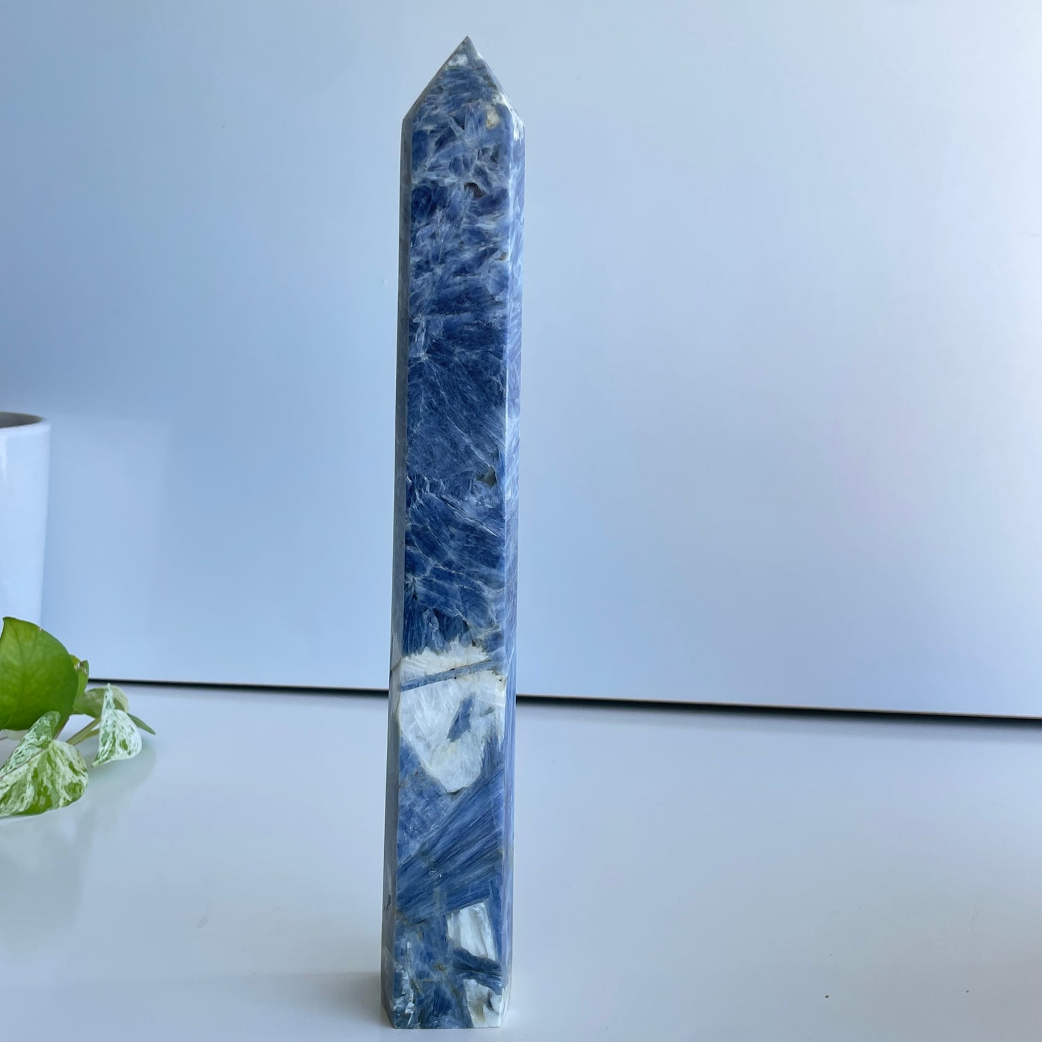 Blue Kyanite Generator 29.4cm