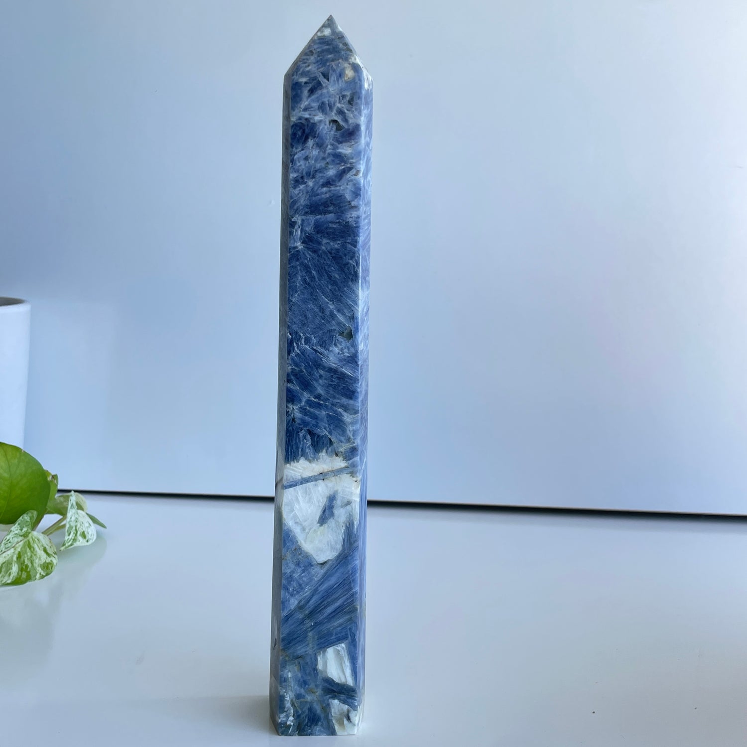 Blue Kyanite Generator 29.4cm