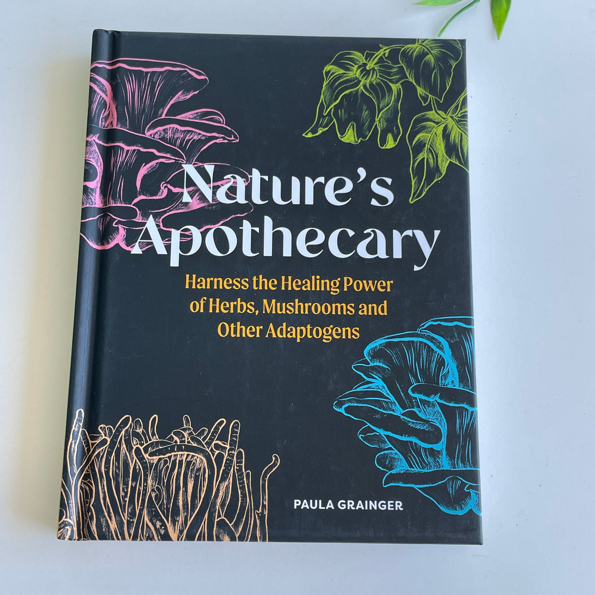 Natures Apothecary Paula Grainger