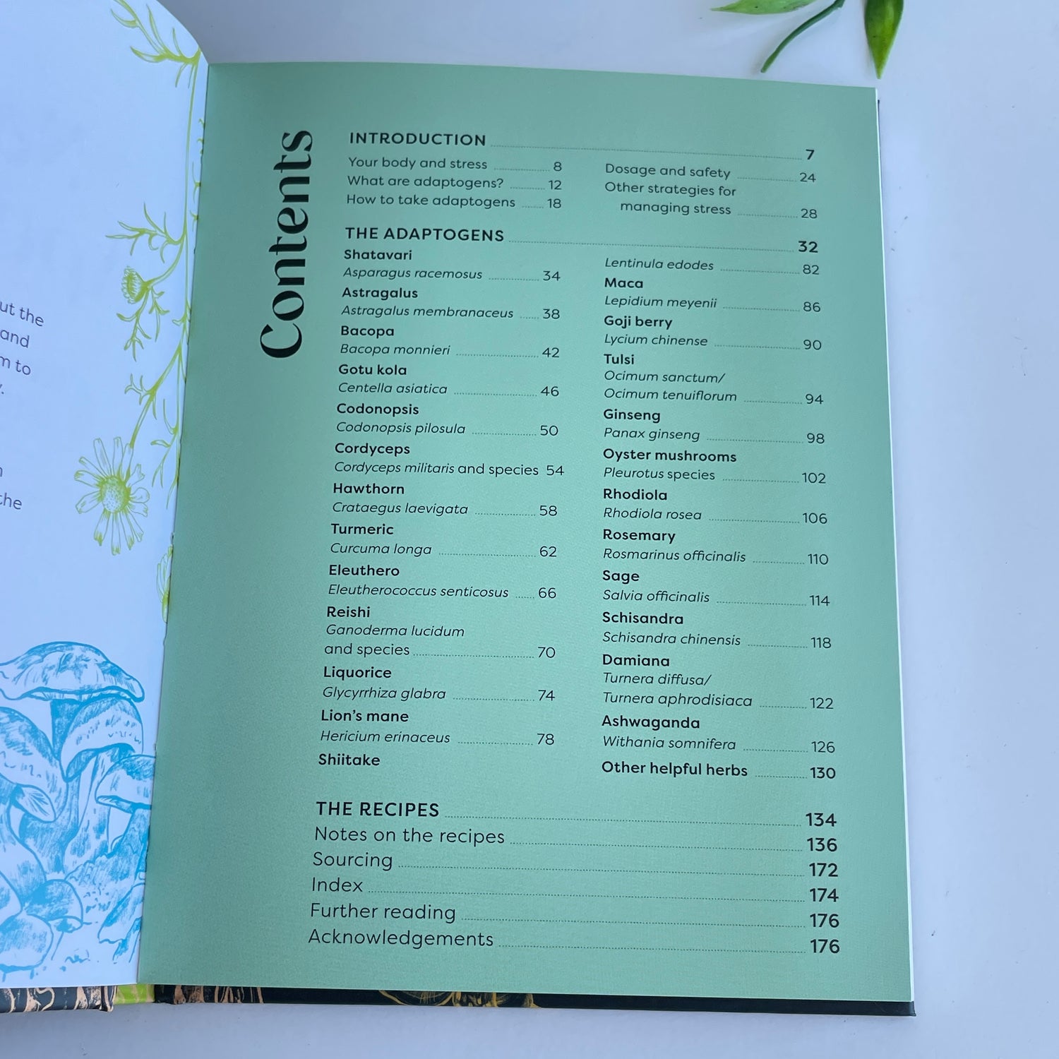 Natures Apothecary Paula Grainger