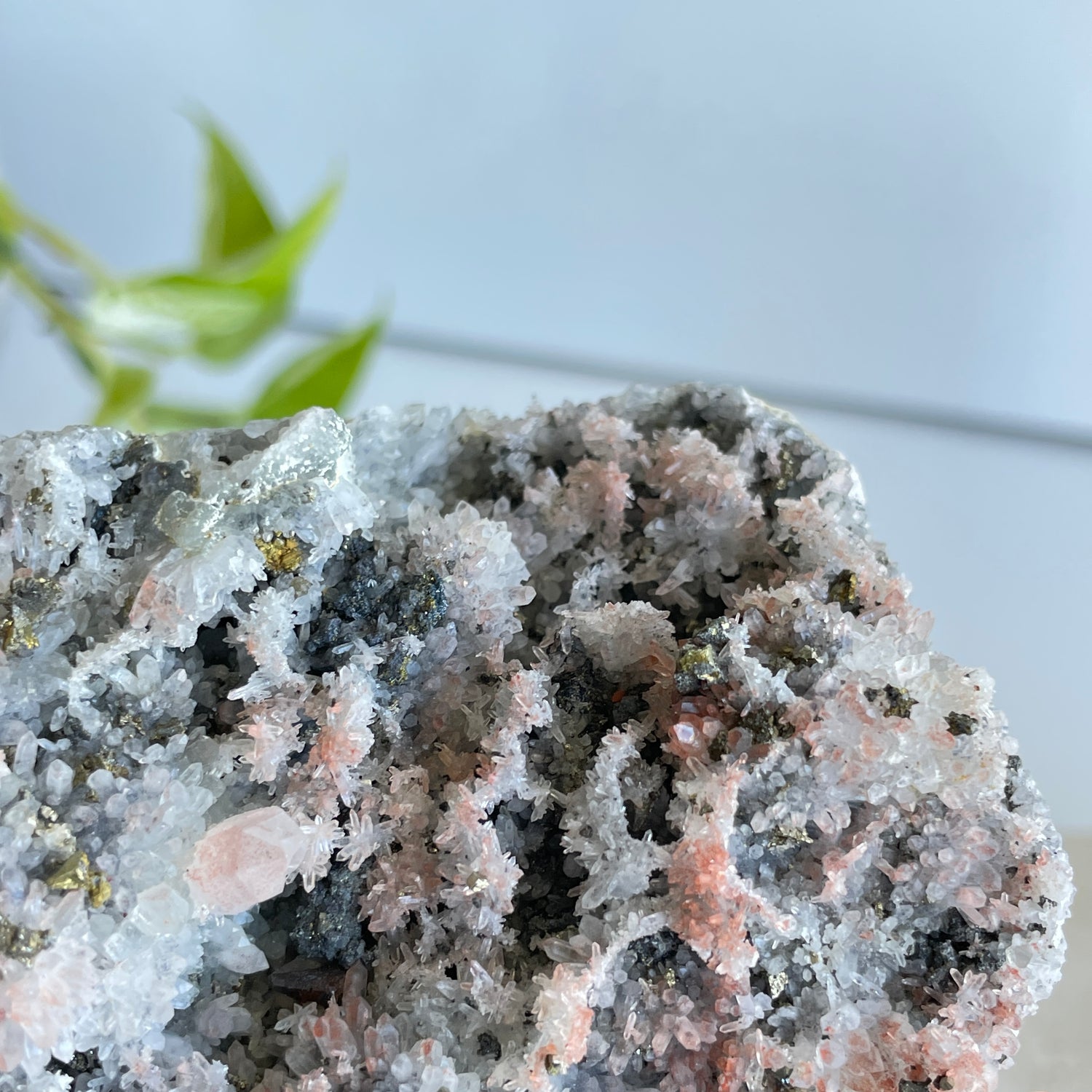 Pyrite & Quartz Cluster 586g
