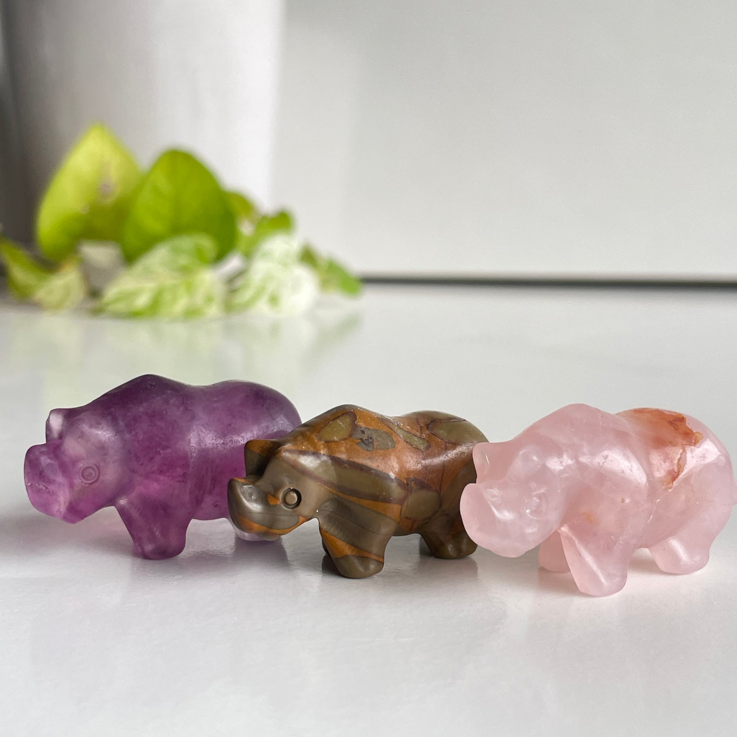 Crystal Rhino
