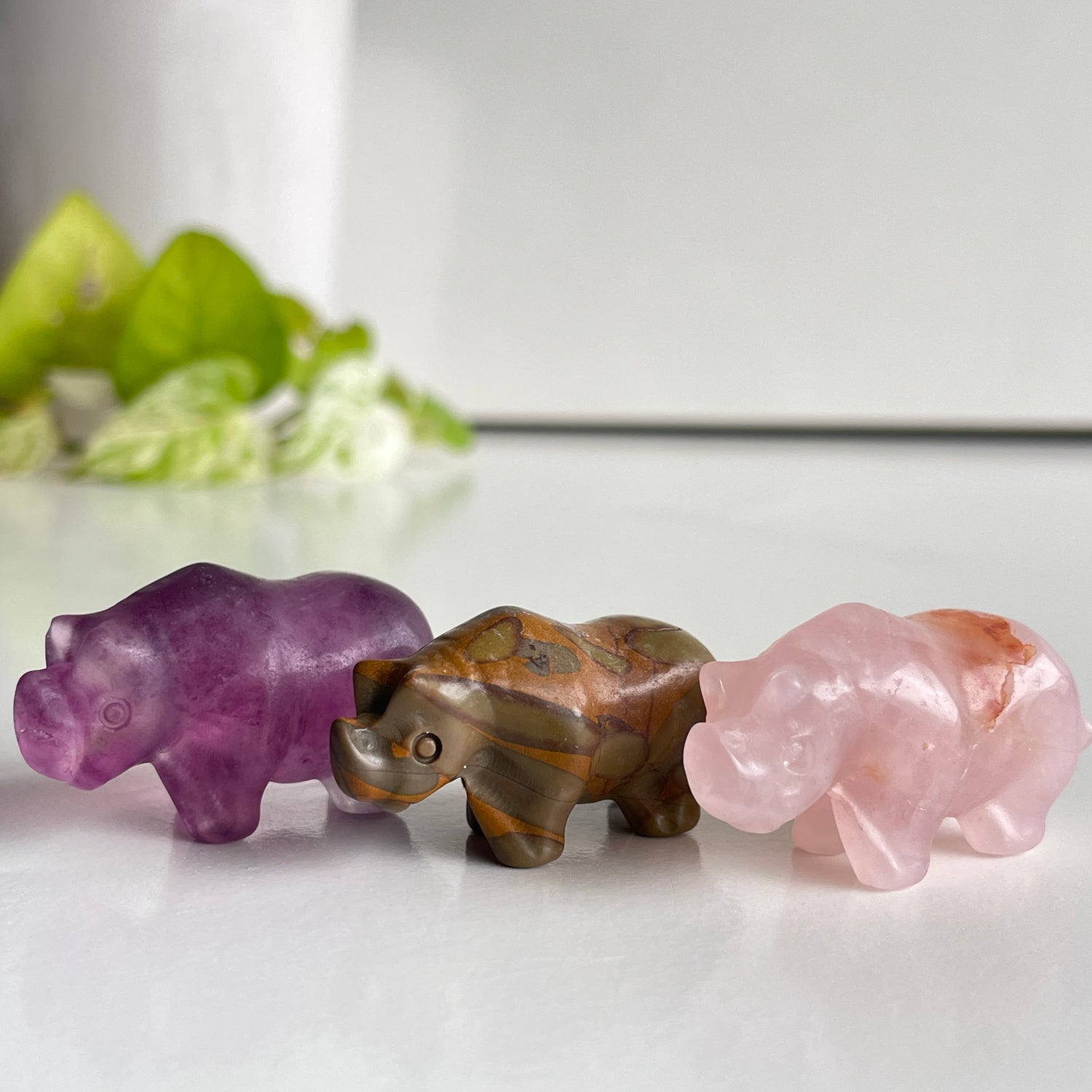 Crystal Rhino