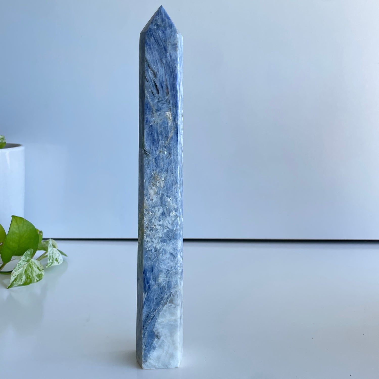 Blue Kyanite Generator 28.2cm