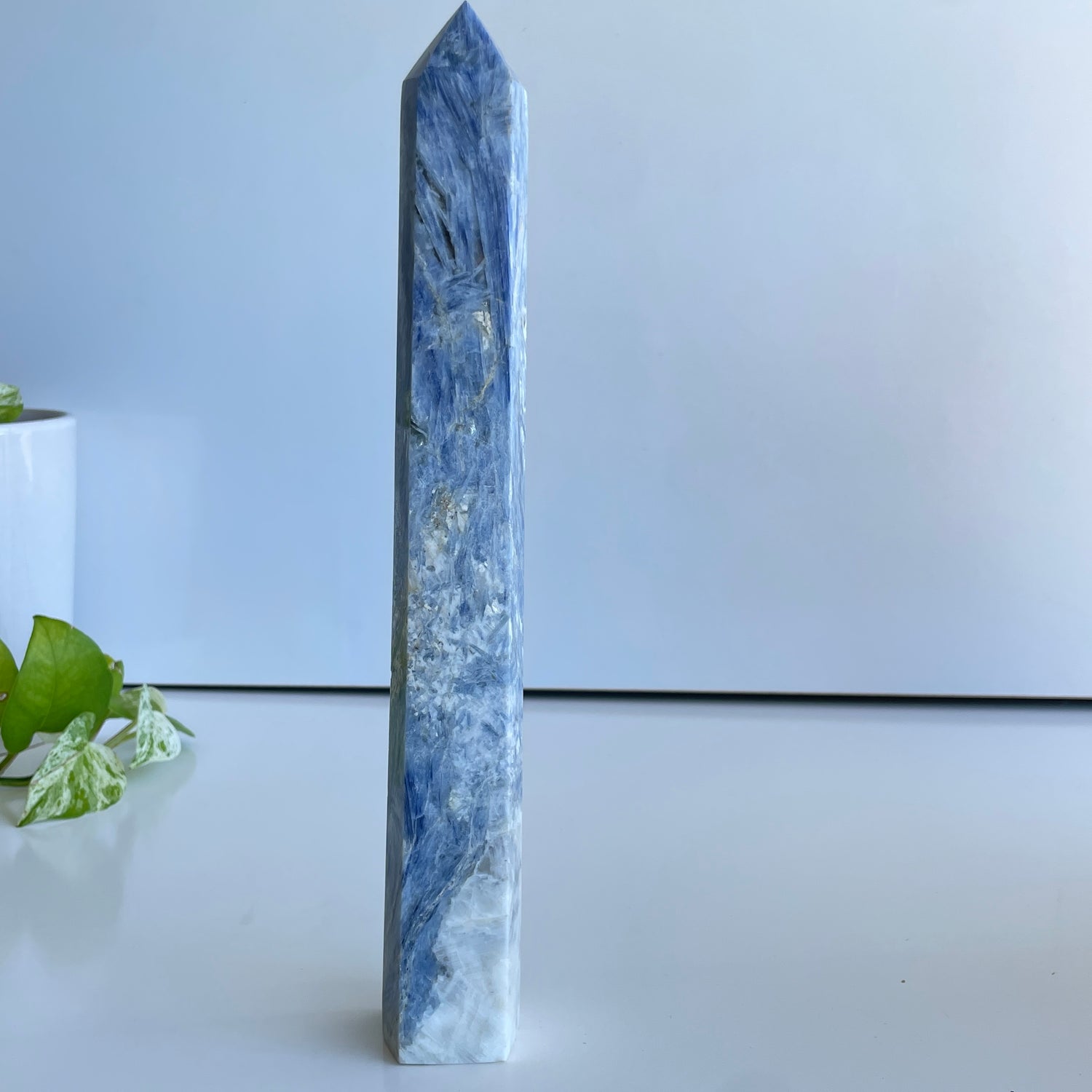 Blue Kyanite Generator 28.2cm