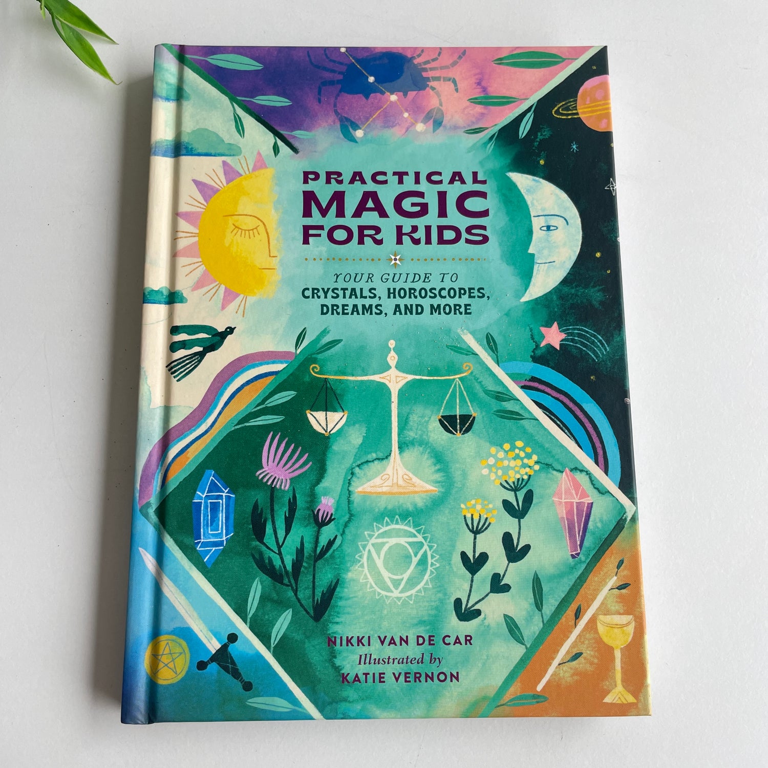Practical Magic For Kids Nikki Van De Car