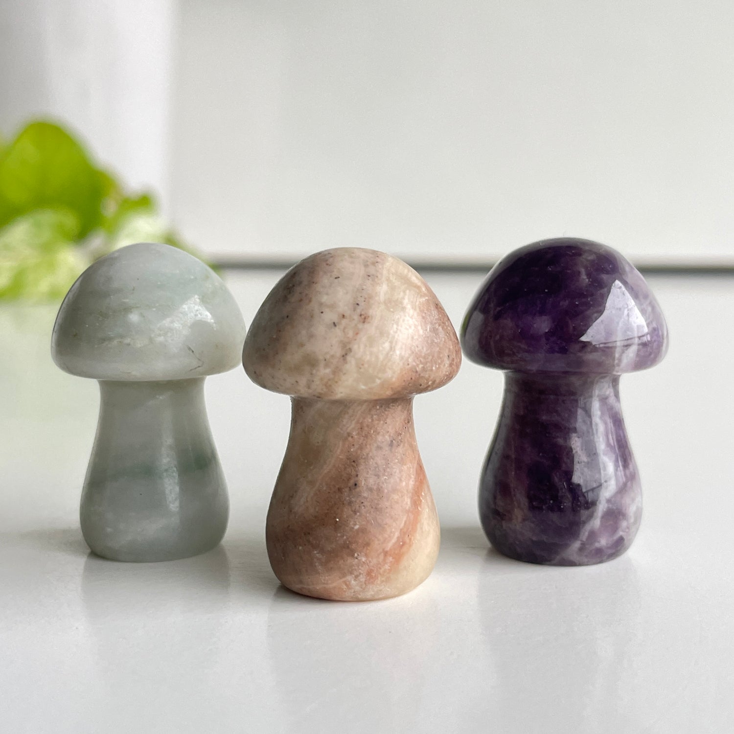 Small Mushroom Assorted