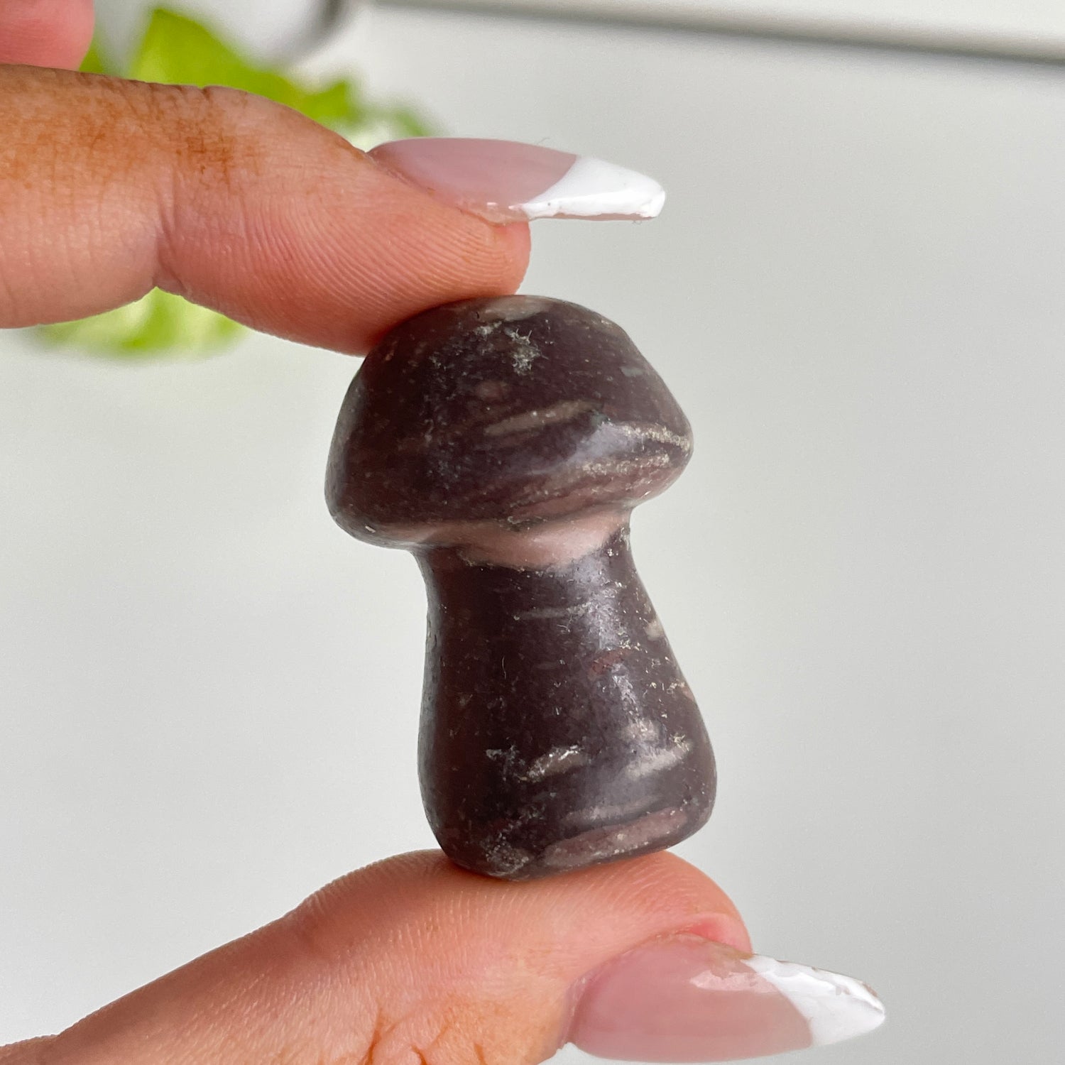 Small Mushroom Assorted