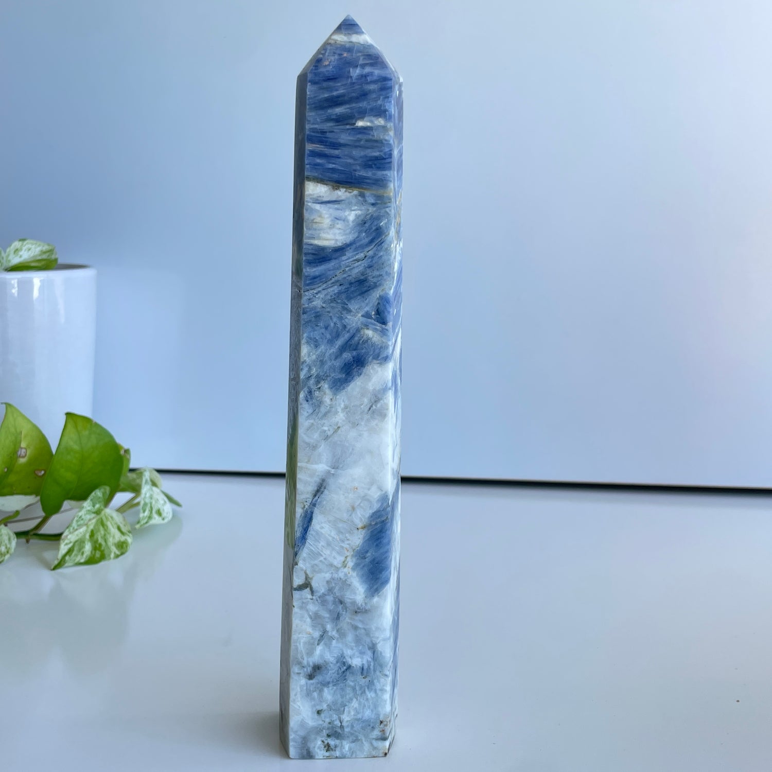 Blue Kyanite Generator 25.3cm