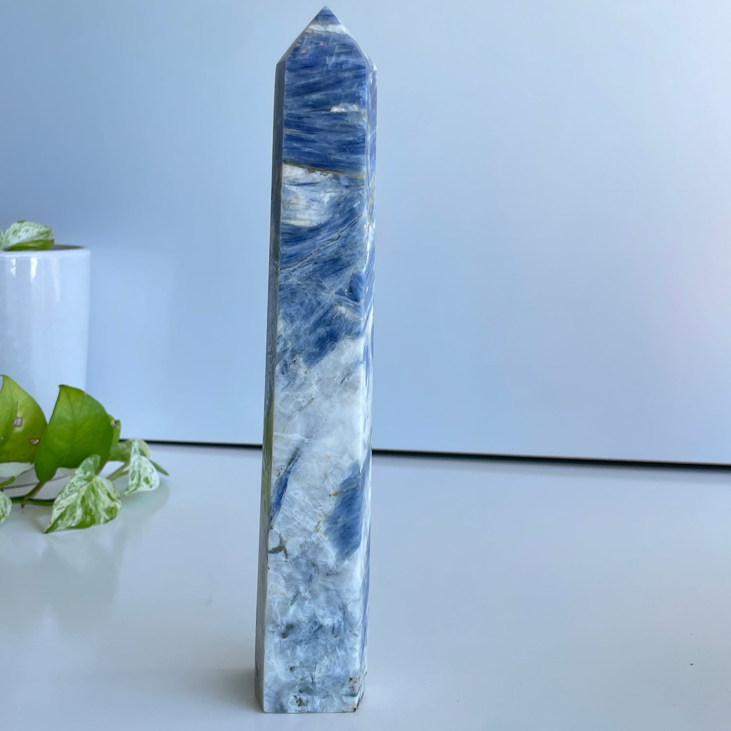 Blue Kyanite Generator 25.3cm