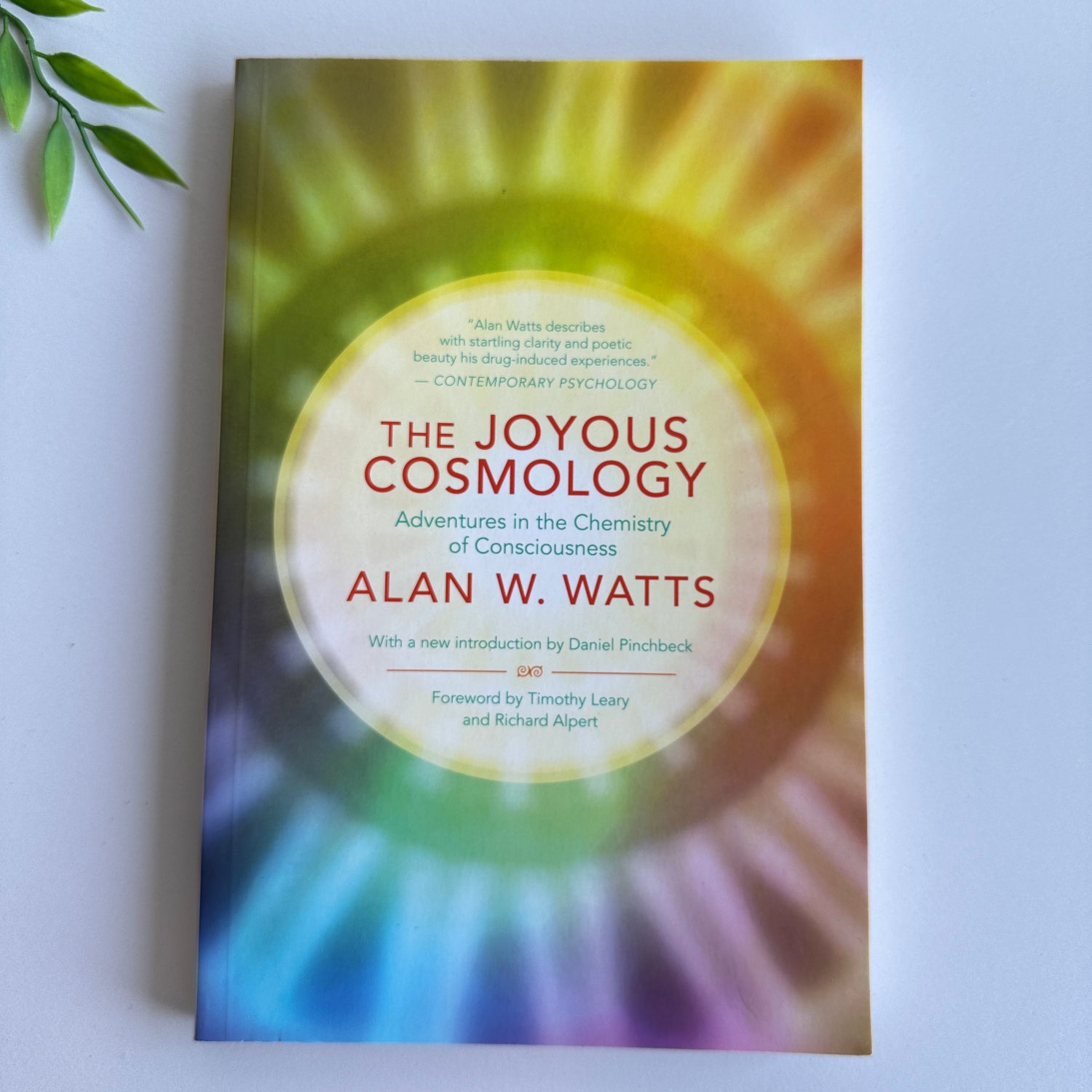 The Joyous Cosmology Alan Watts