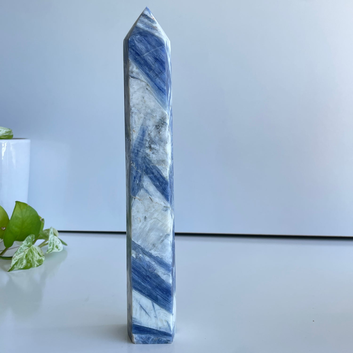 Blue Kyanite Generator  26.2cm