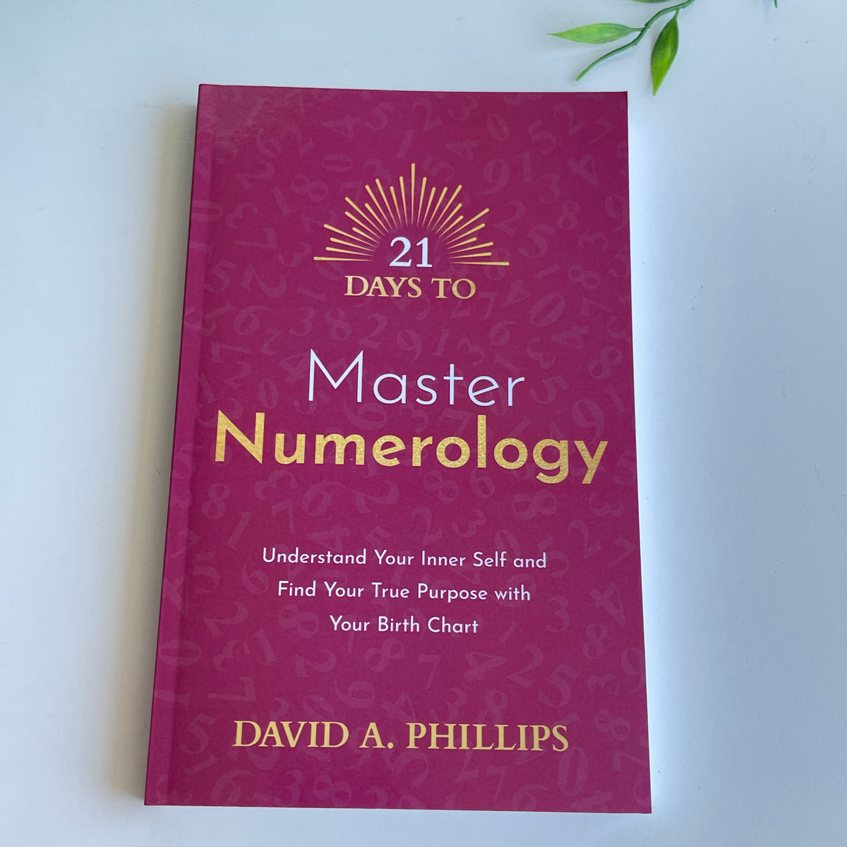 21 Days To Master Numerology David Phillips