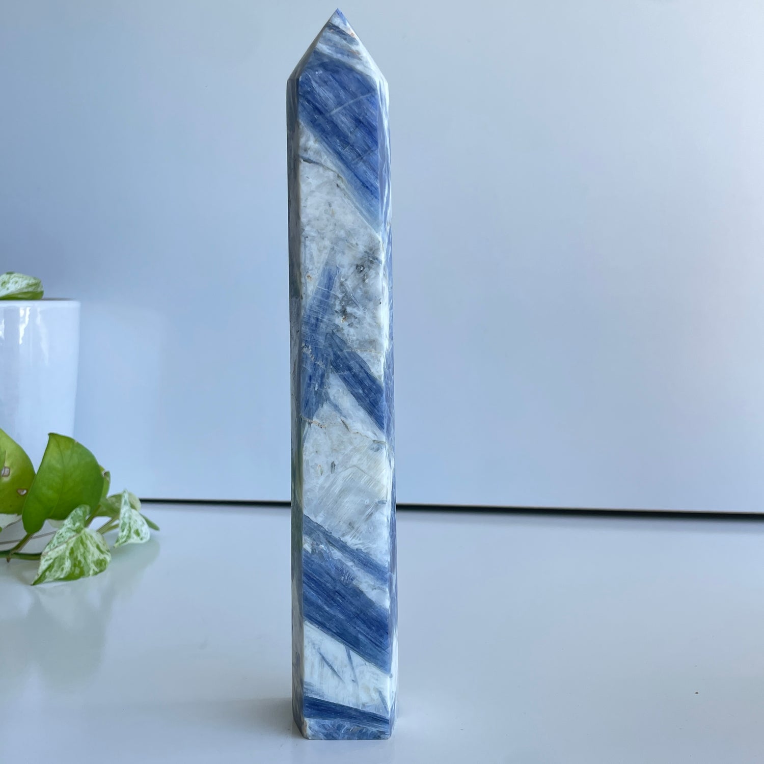Blue Kyanite Generator  26.2cm