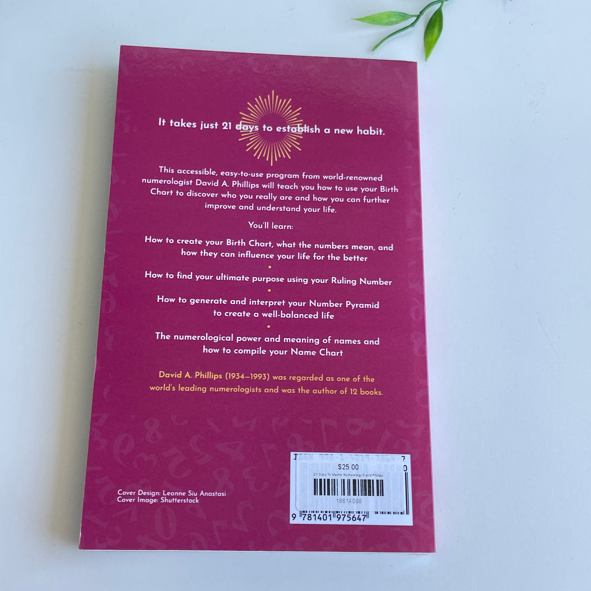 21 Days To Master Numerology David Phillips