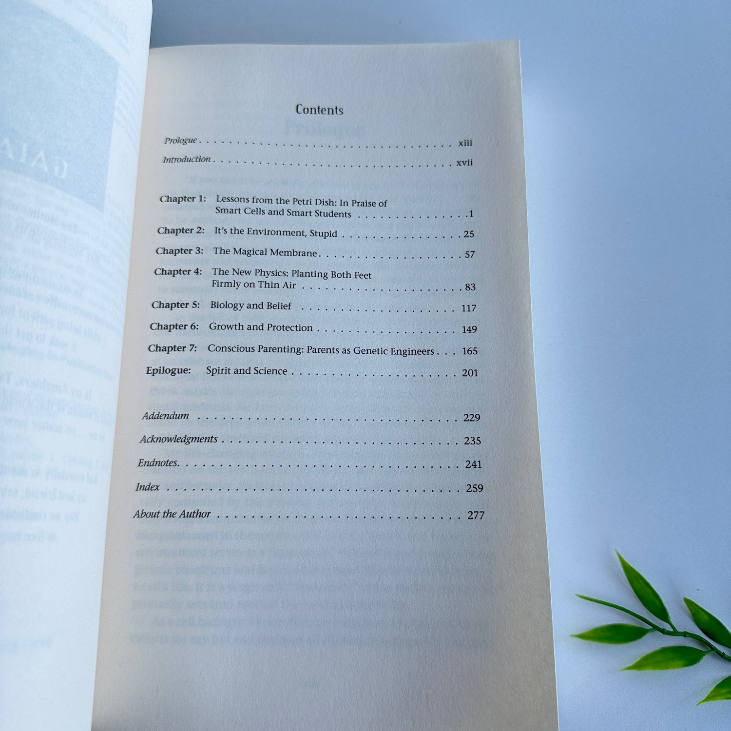 The Biology Of Belief Bruce Lipton