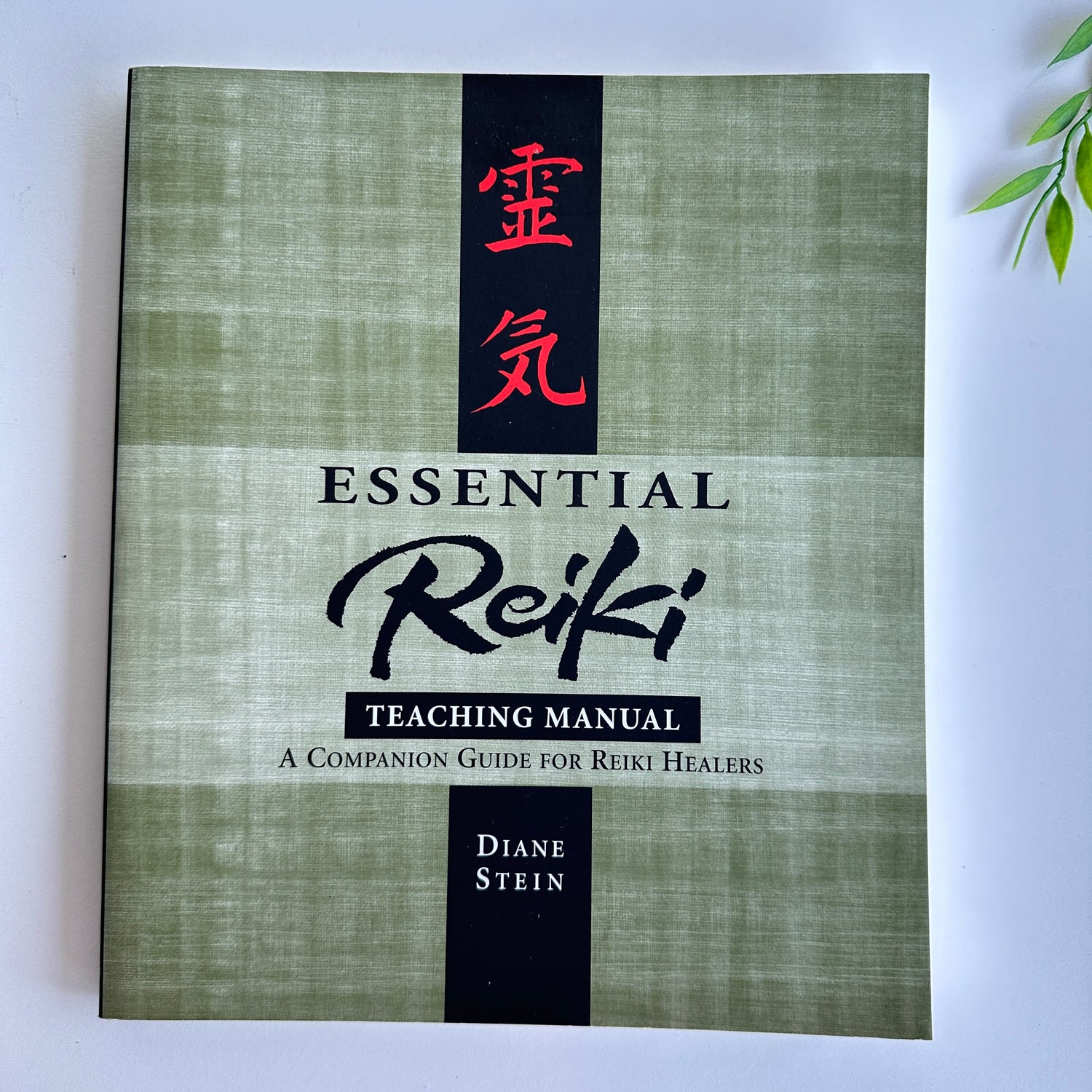Essential Reiki Teaching Manual Diane Stein