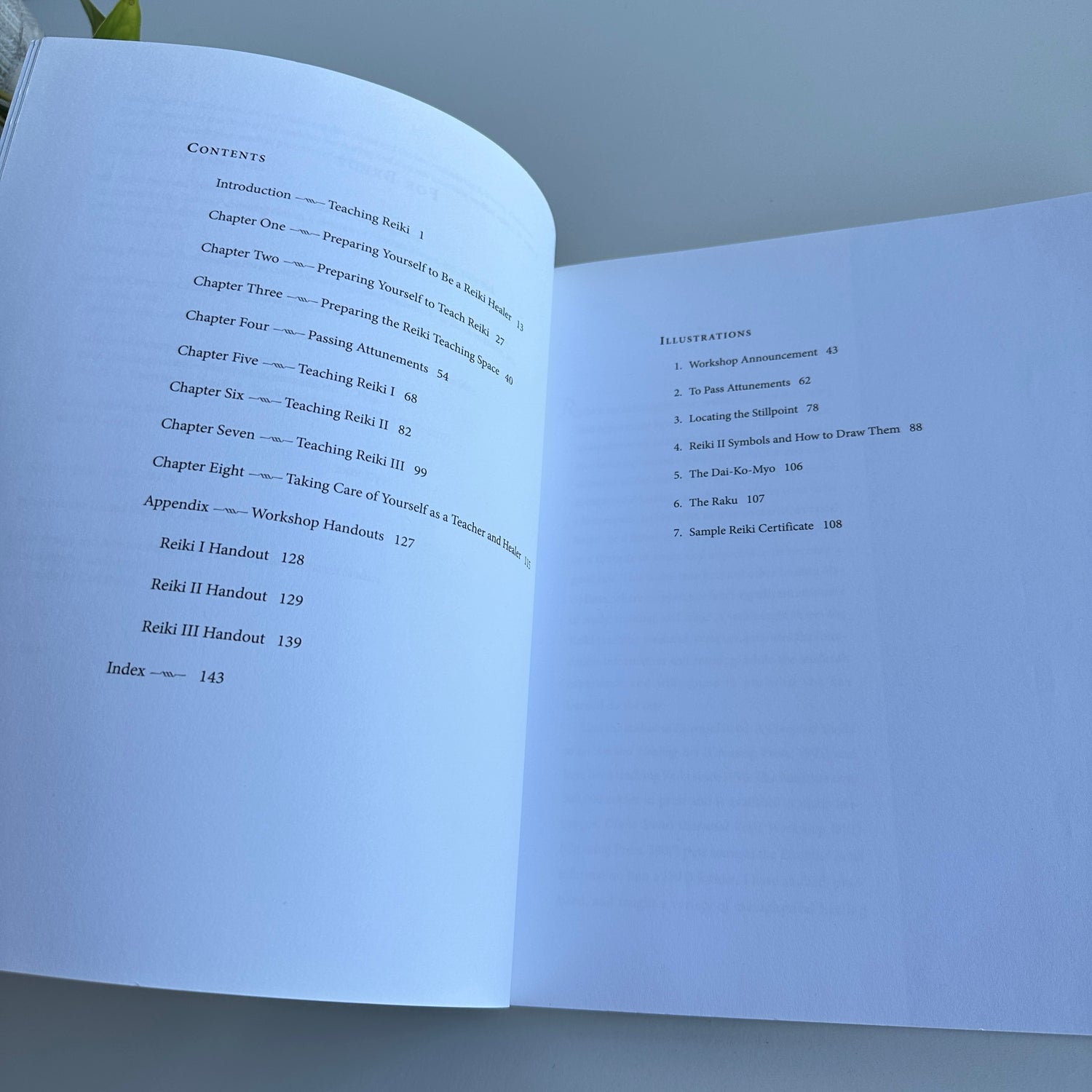 Essential Reiki Teaching Manual Diane Stein