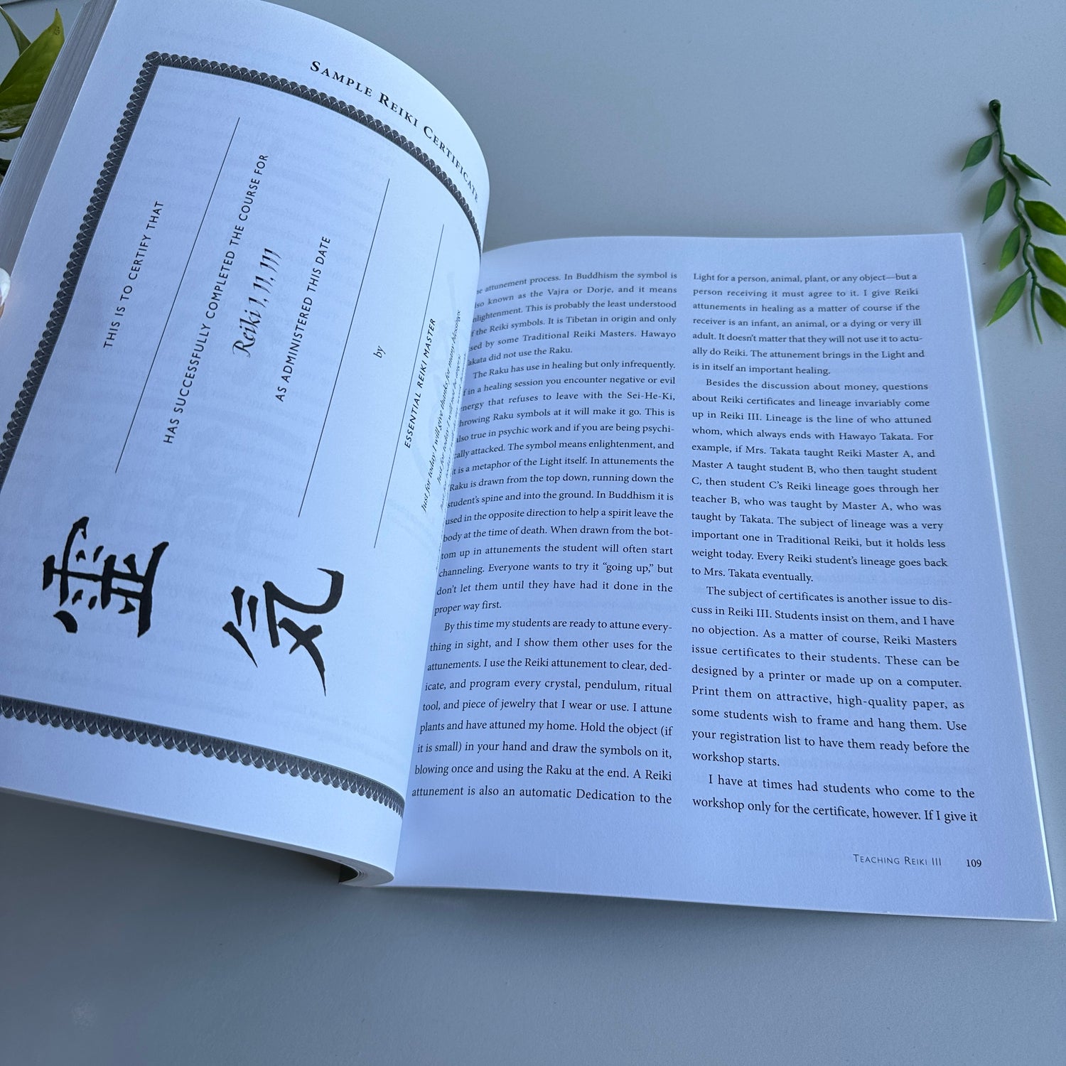 Essential Reiki Teaching Manual Diane Stein