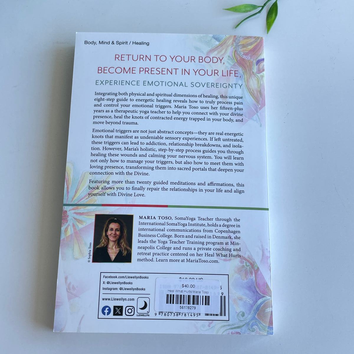 Heal What Hurts Maria Toso