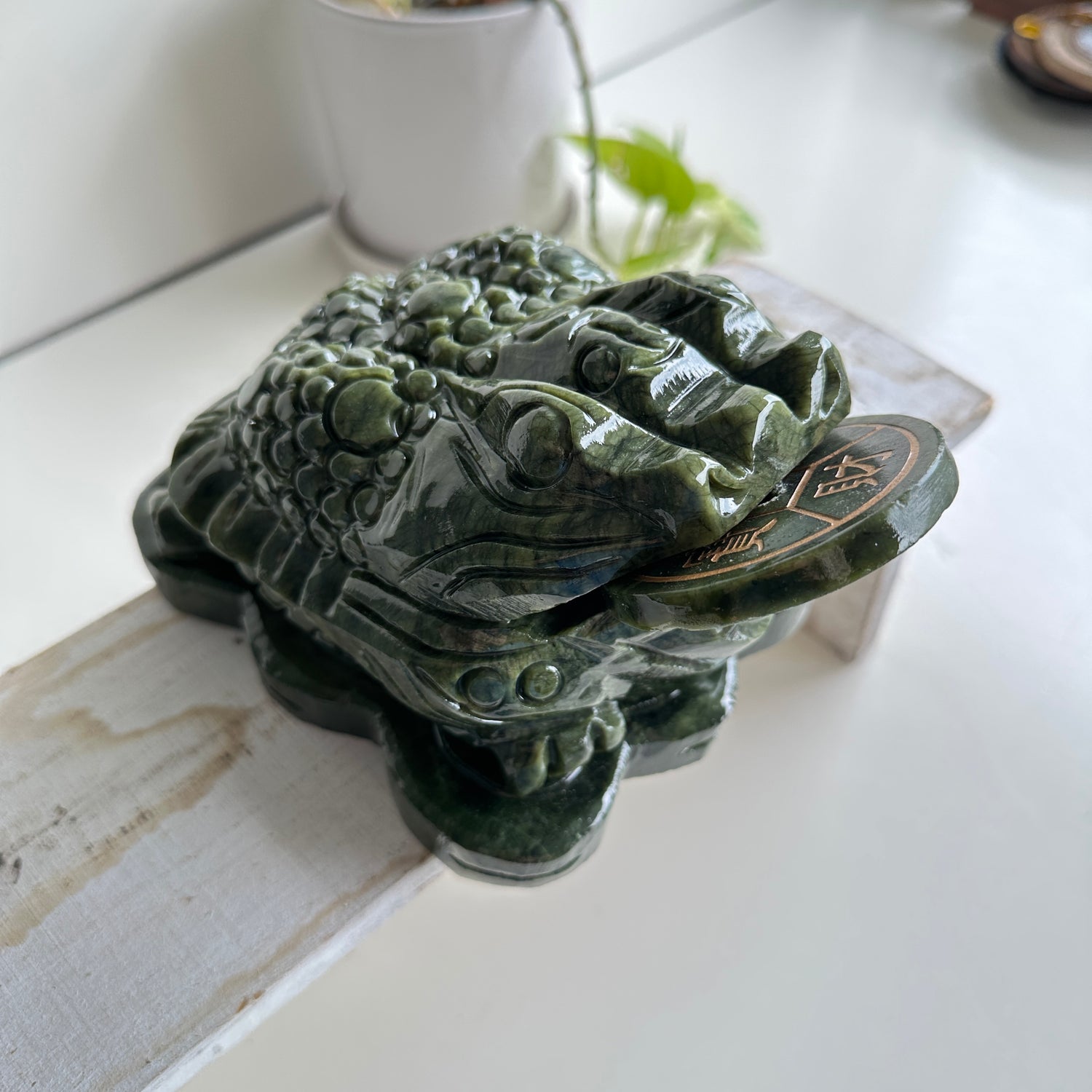 Serpentine Money Frog Toad Medium 5