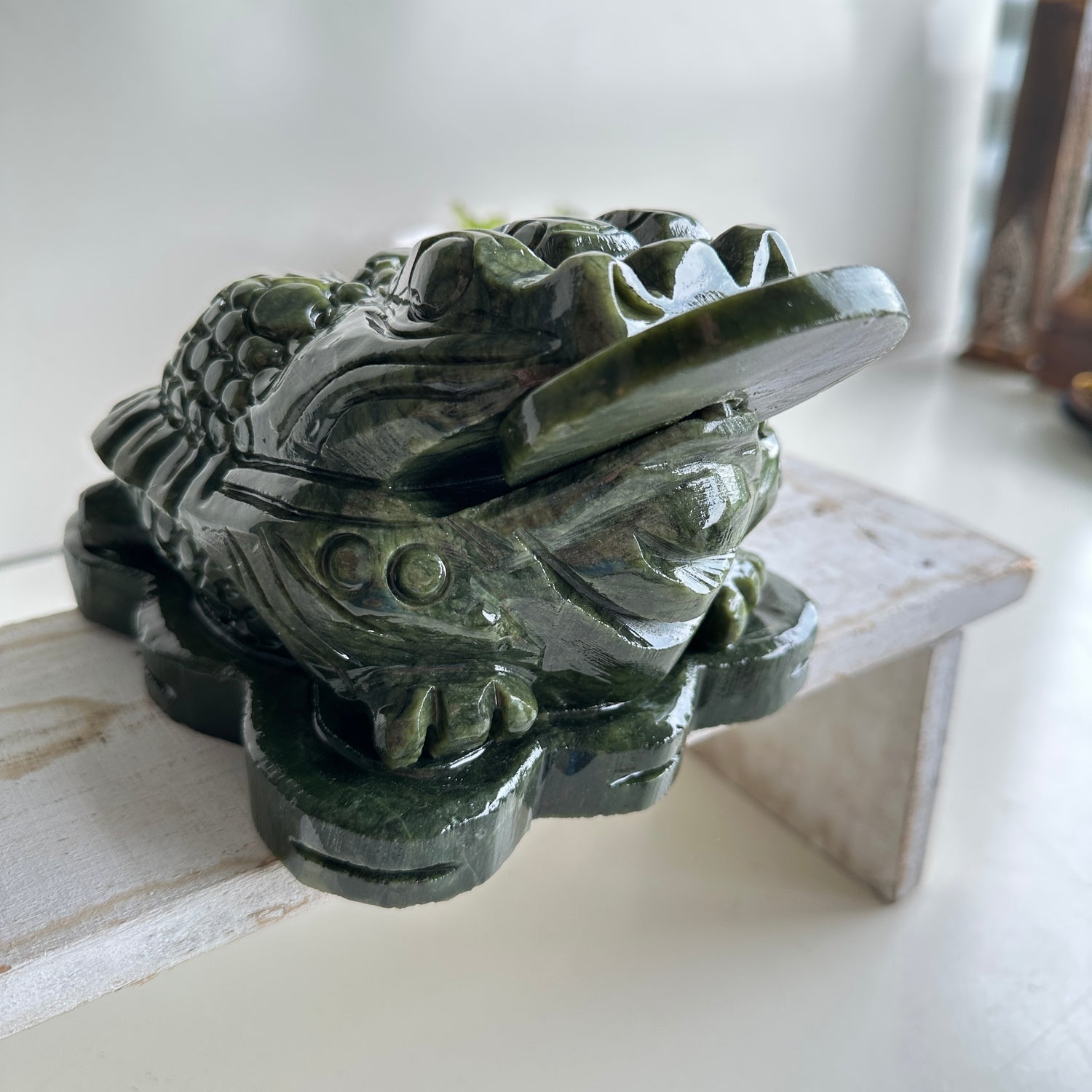 Serpentine Money Frog Toad Medium 5