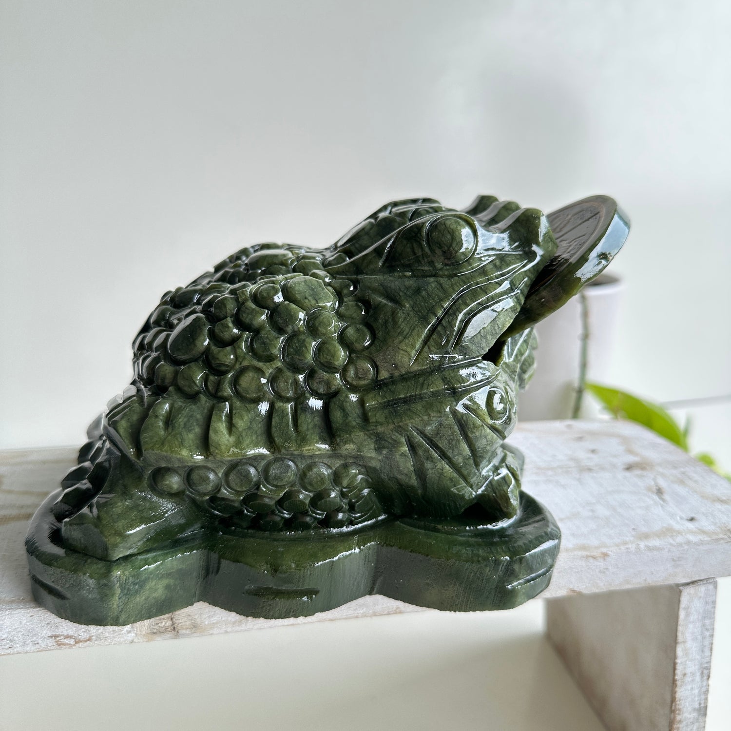 Serpentine Money Frog Toad Medium 5