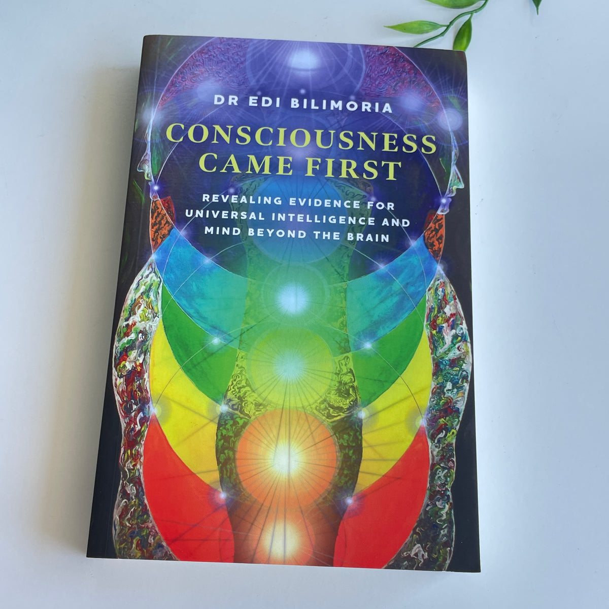 Consciousness Came First Dr Edi Bilimoria