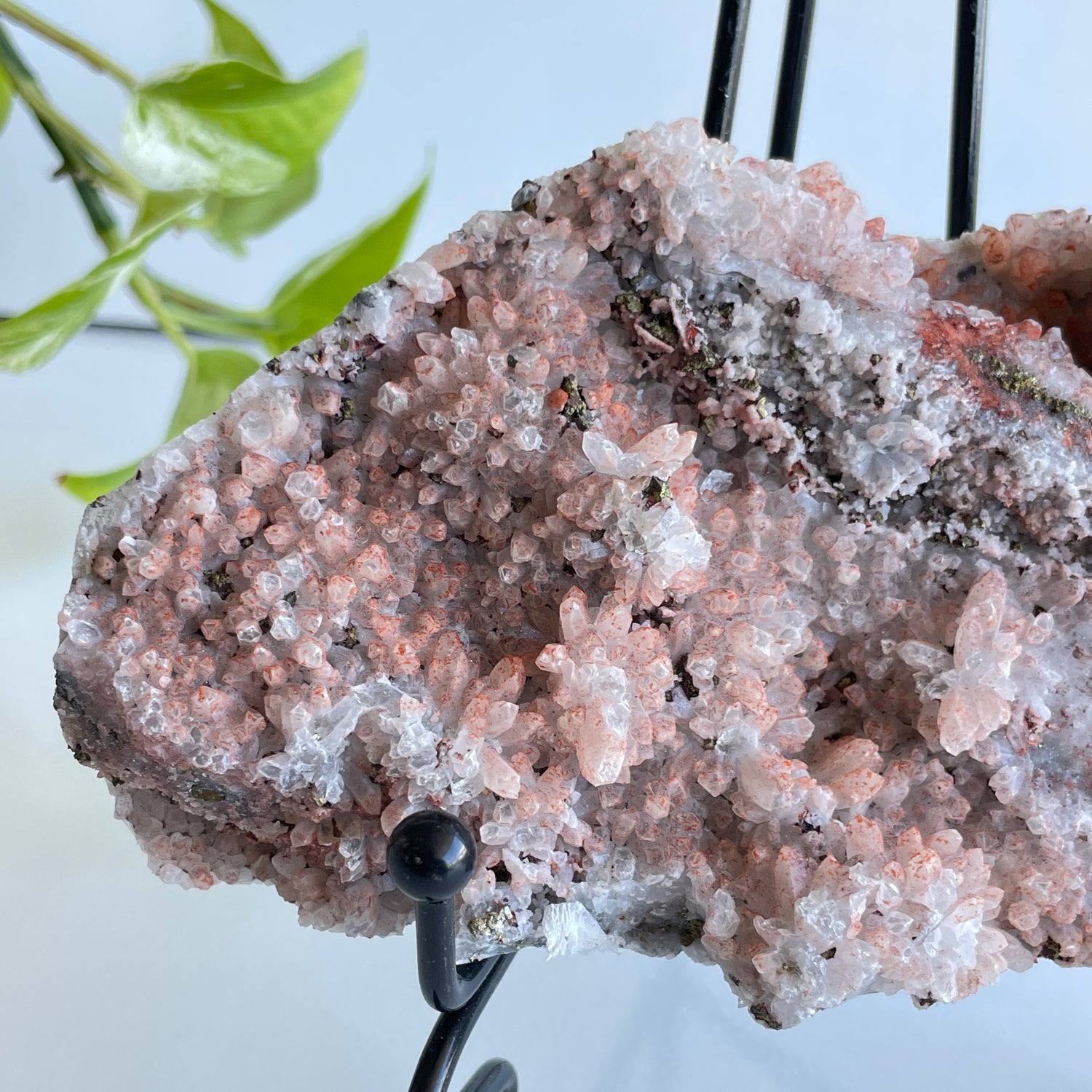 Pyrite & Quartz Cluster 680g