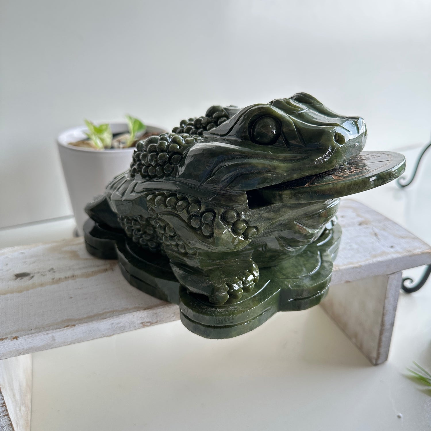 Serpentine Money Frog Toad Large 2