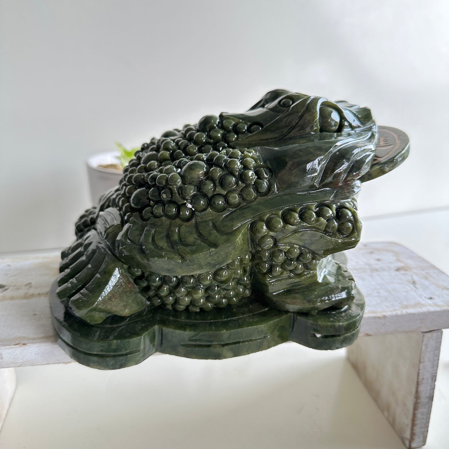 Serpentine Money Frog Toad Large 2