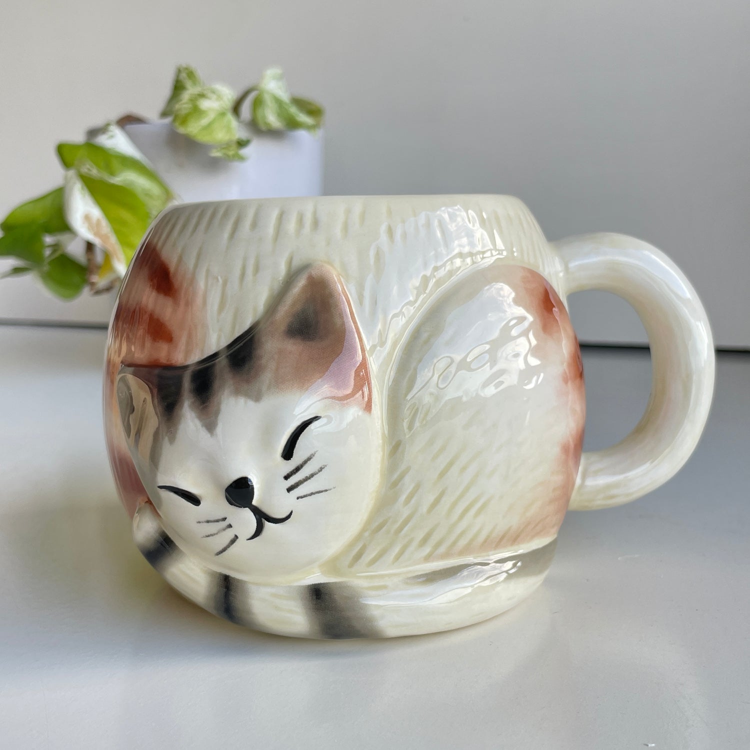 All You Need Is Love And A Cat Mug166
